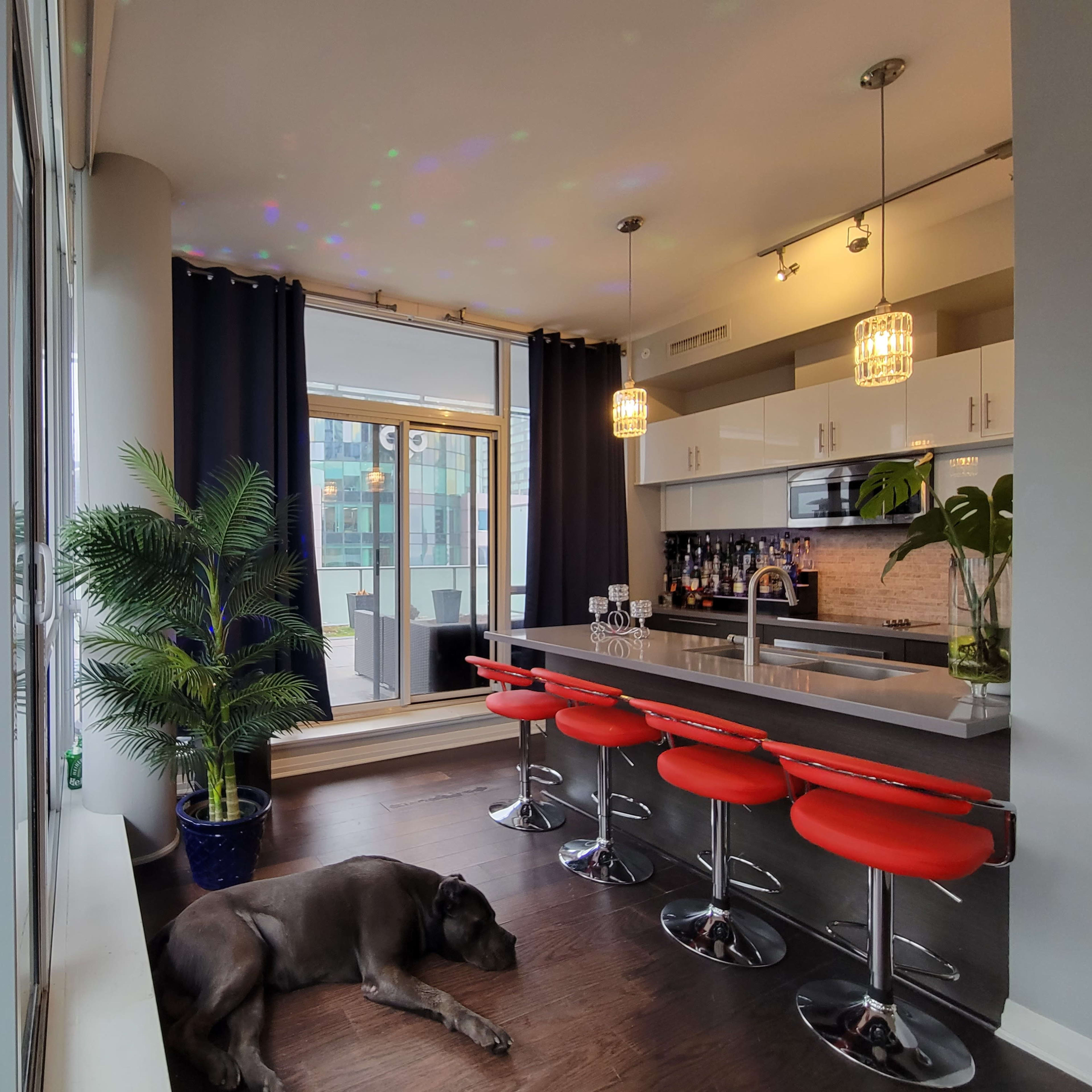 A large dog lies on the floor in a modern kitchen with red bar stools and a patio door leading to a balcony.