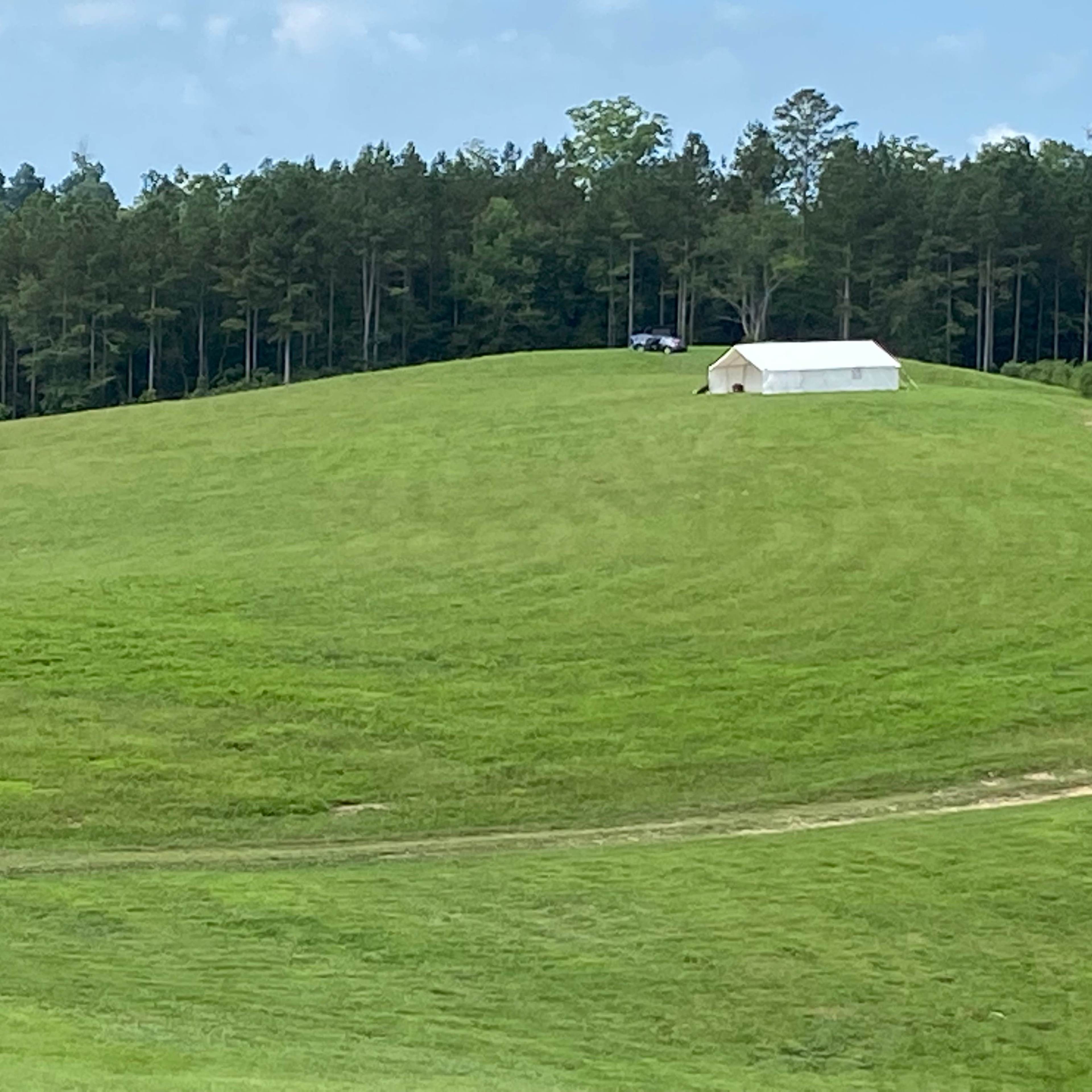 A white tent is set up on a grassy hillside, with a forest of trees in the background.