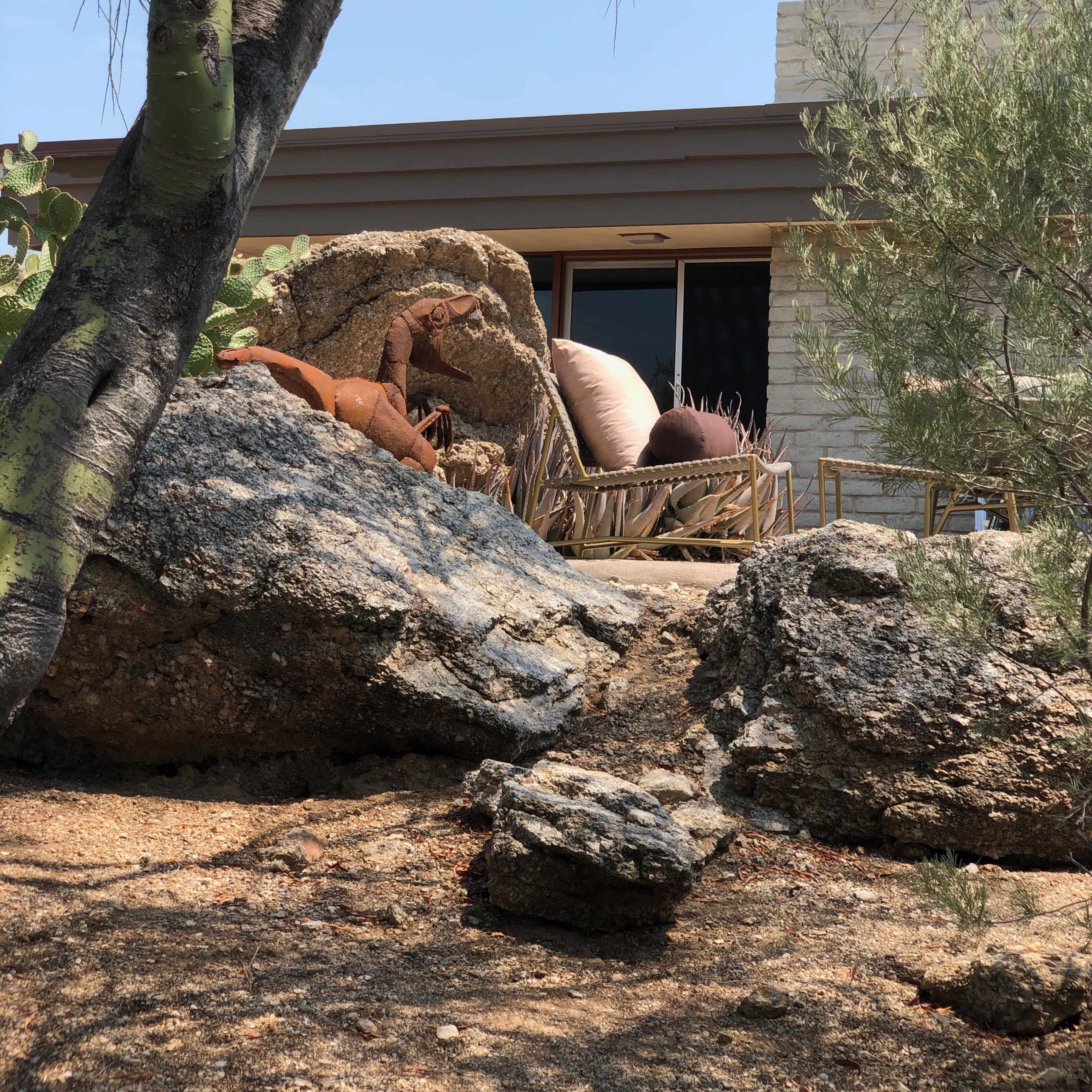 A modern house is partially visible behind large rocks and desert vegetation.