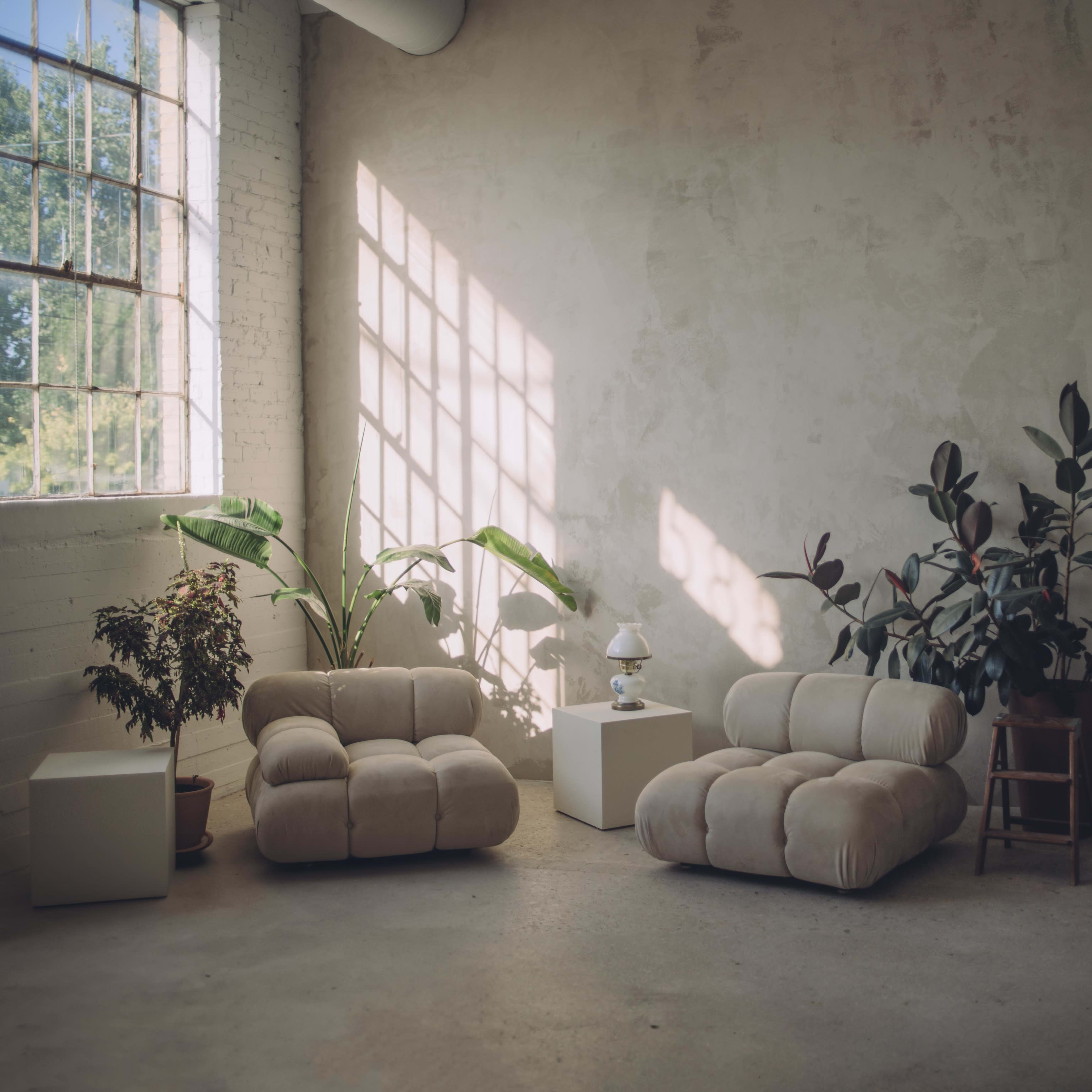 A minimalist interior with two soft, low sofas, a small table with a lamp, and several potted plants against a textured wall and large window.