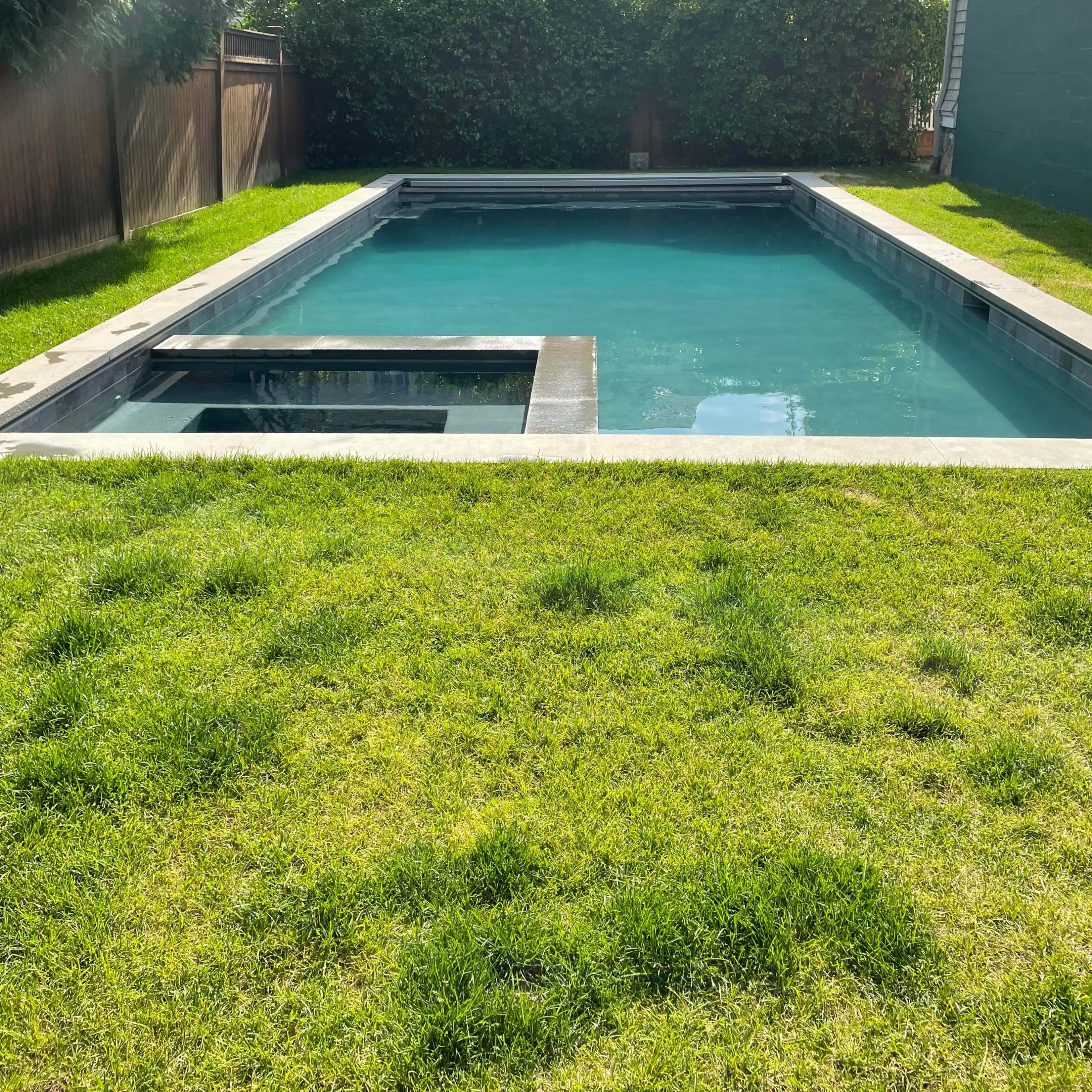 A rectangular swimming pool surrounded by grass in a residential backyard.