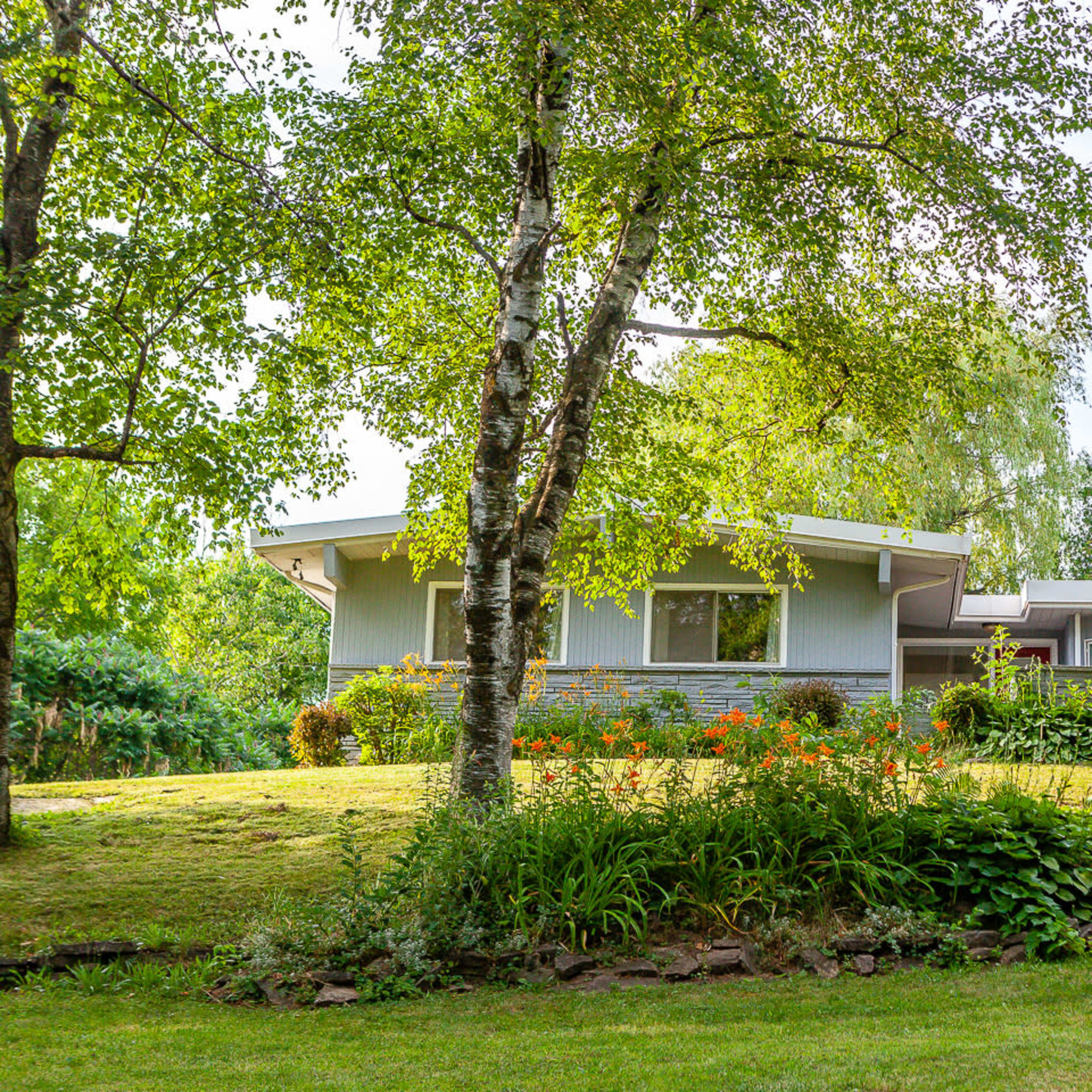 A modern house with large windows is surrounded by lush greenery and landscaped gardens, set against a clear blue sky.