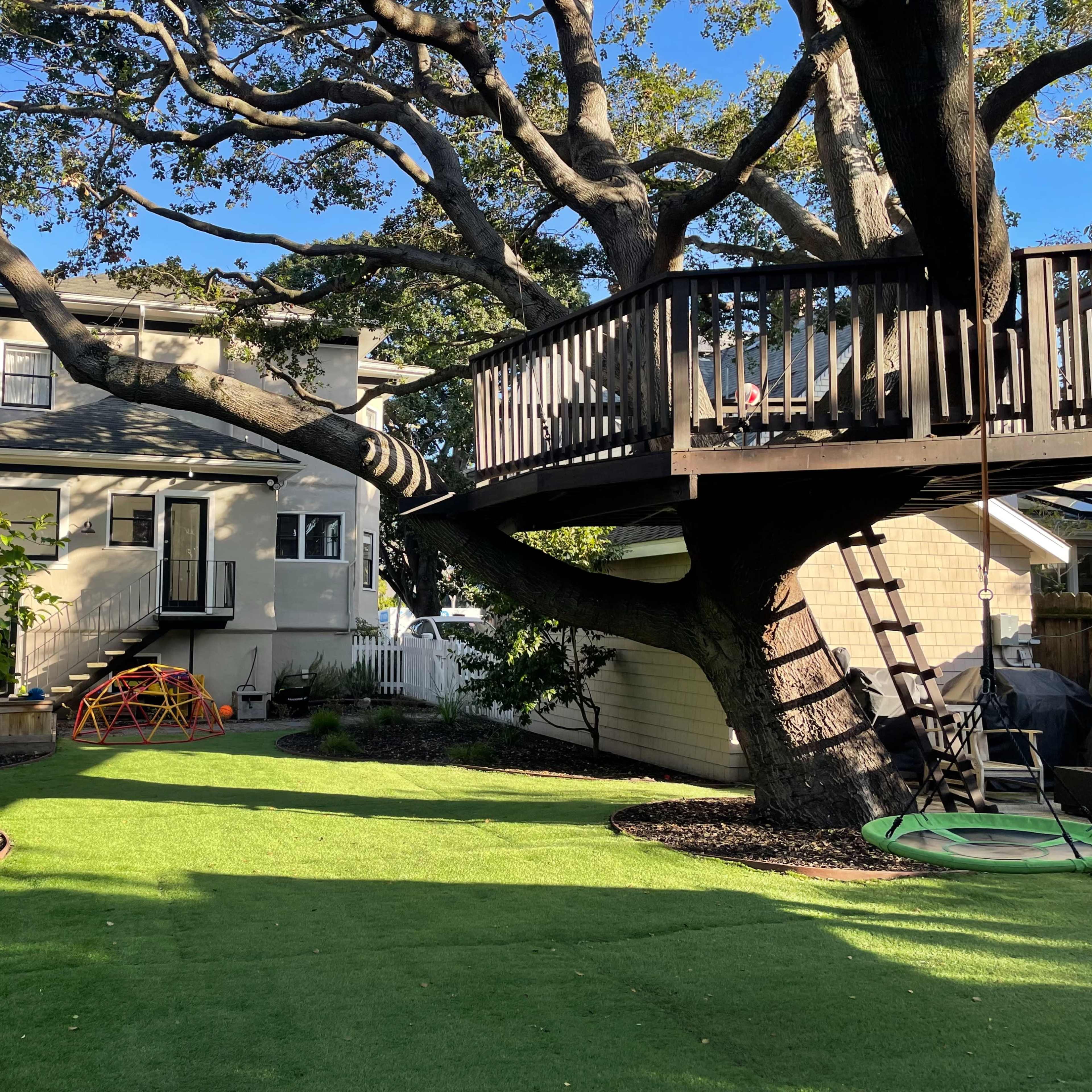 Large backyard with mature oak tree and tree fort Image in West Alameda, Alameda, CA