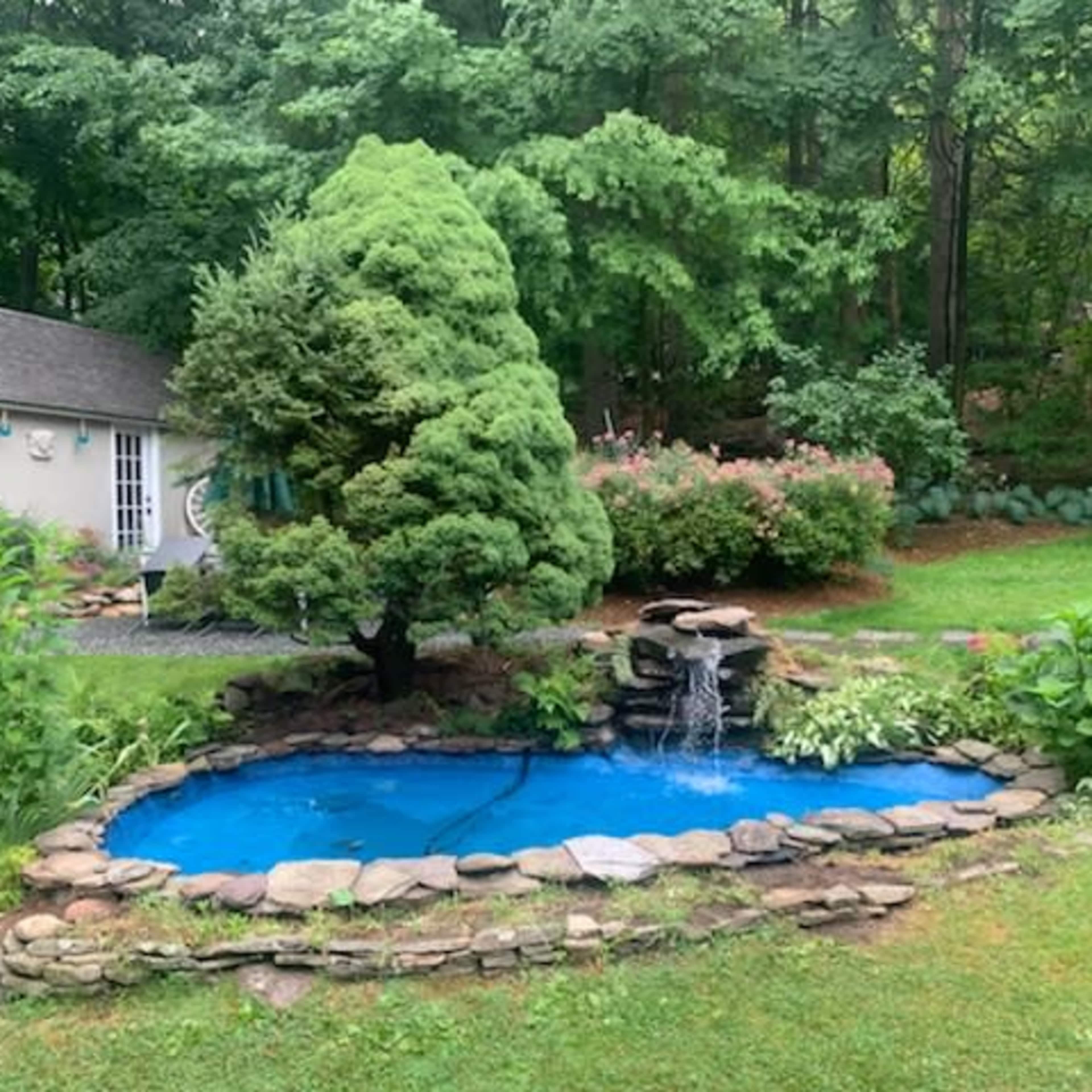 A landscaped backyard featuring a small pond with a fountain, surrounded by rocks and greenery, next to a garden shed.