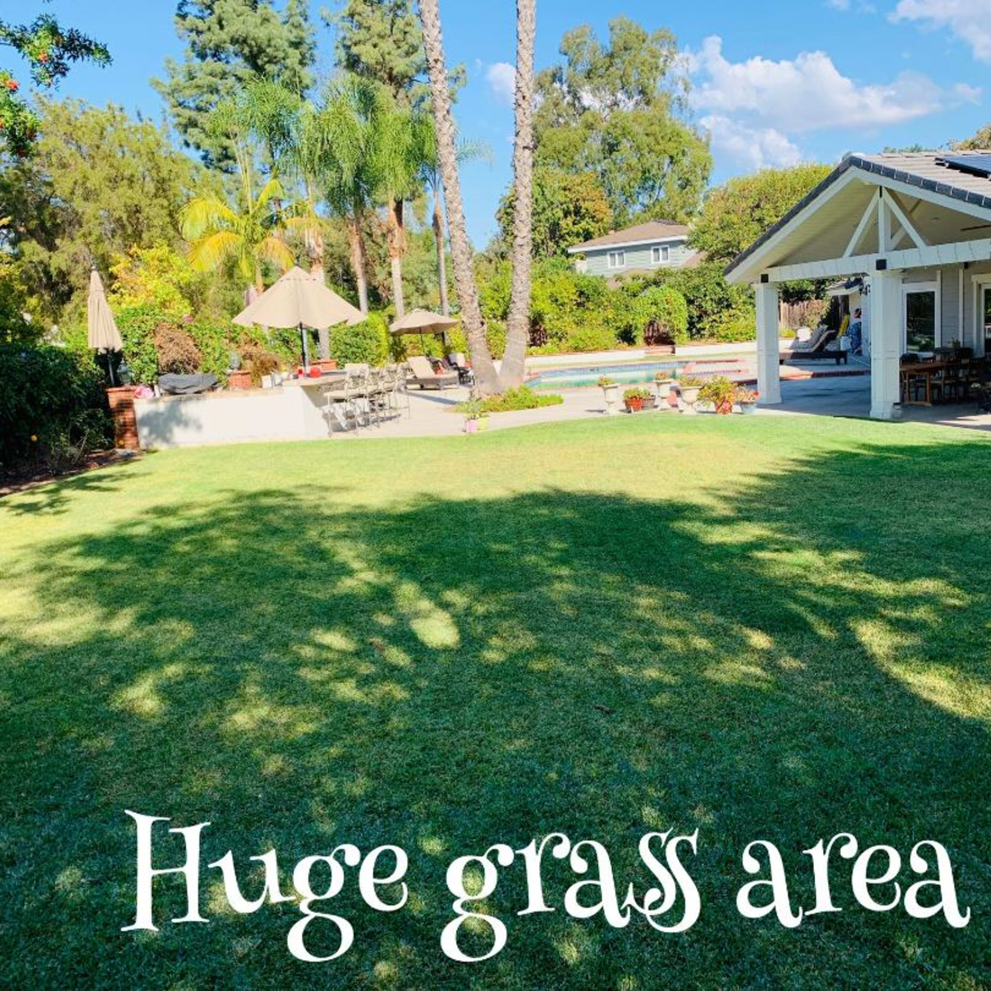 A large grassy area in a backyard with a swimming pool, lounge chairs, and a covered patio in the background.