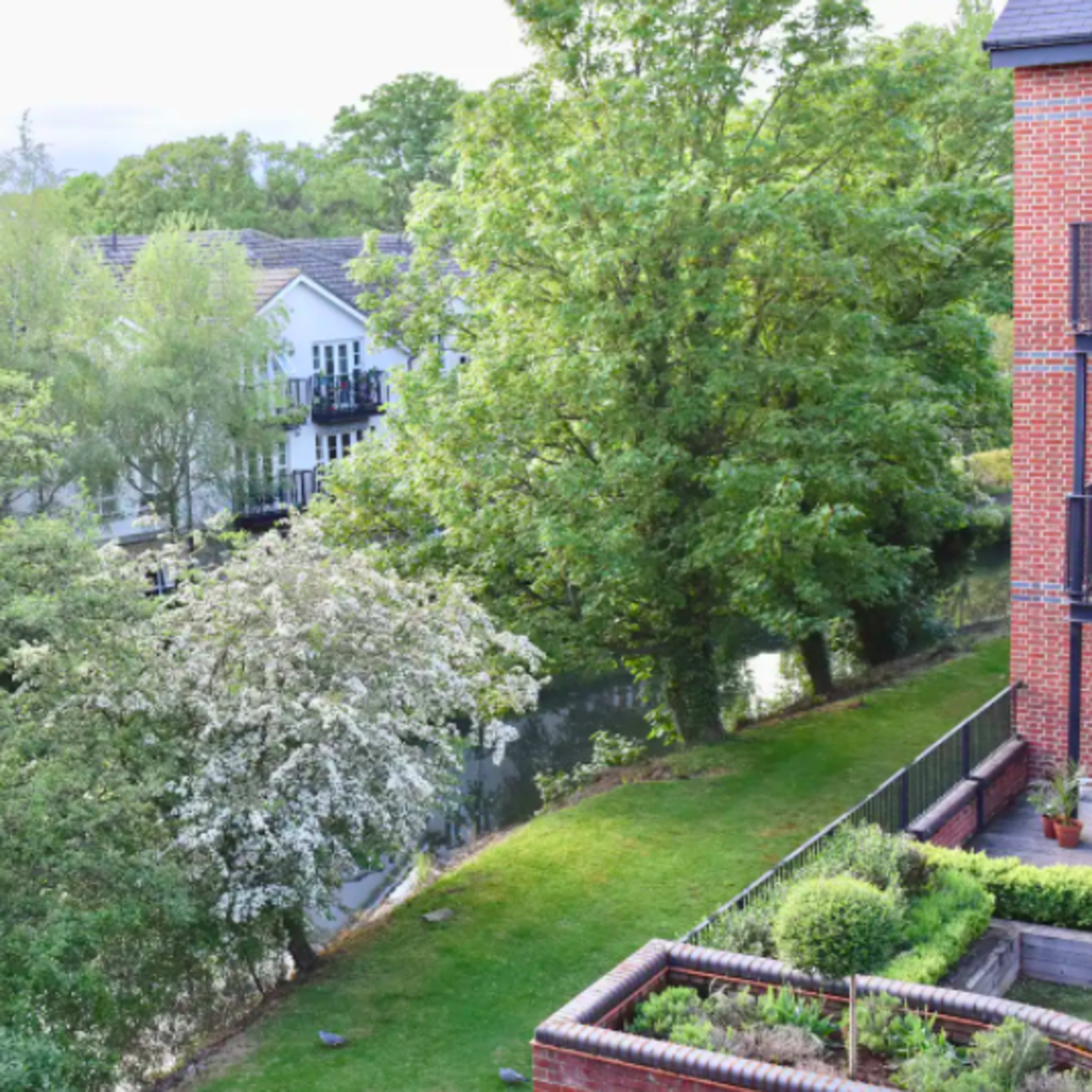 A peaceful residential area with green trees lining a small waterway and houses in the background.