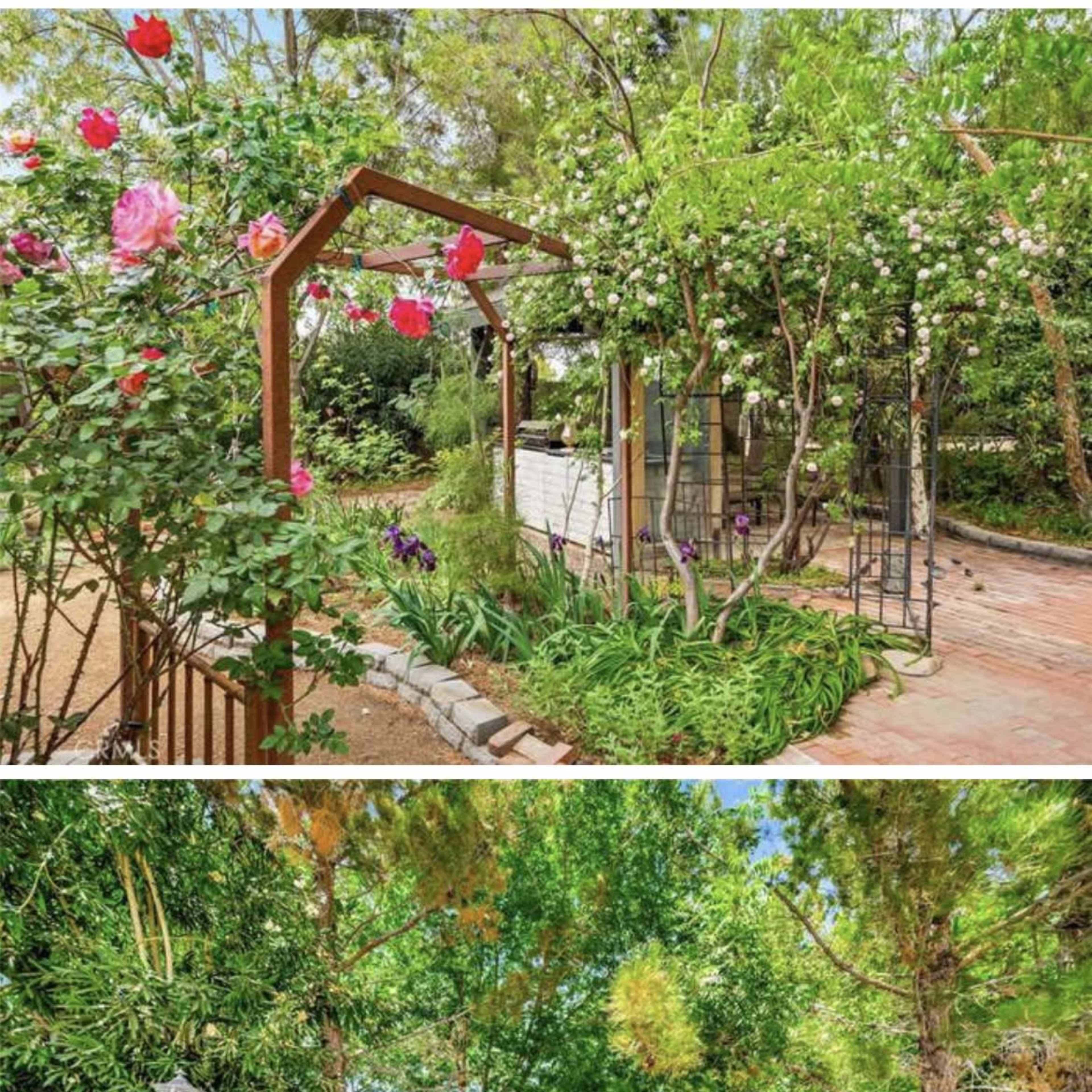 Secret Garden in the Heart of Palmdale Image in , Palmdale, CA