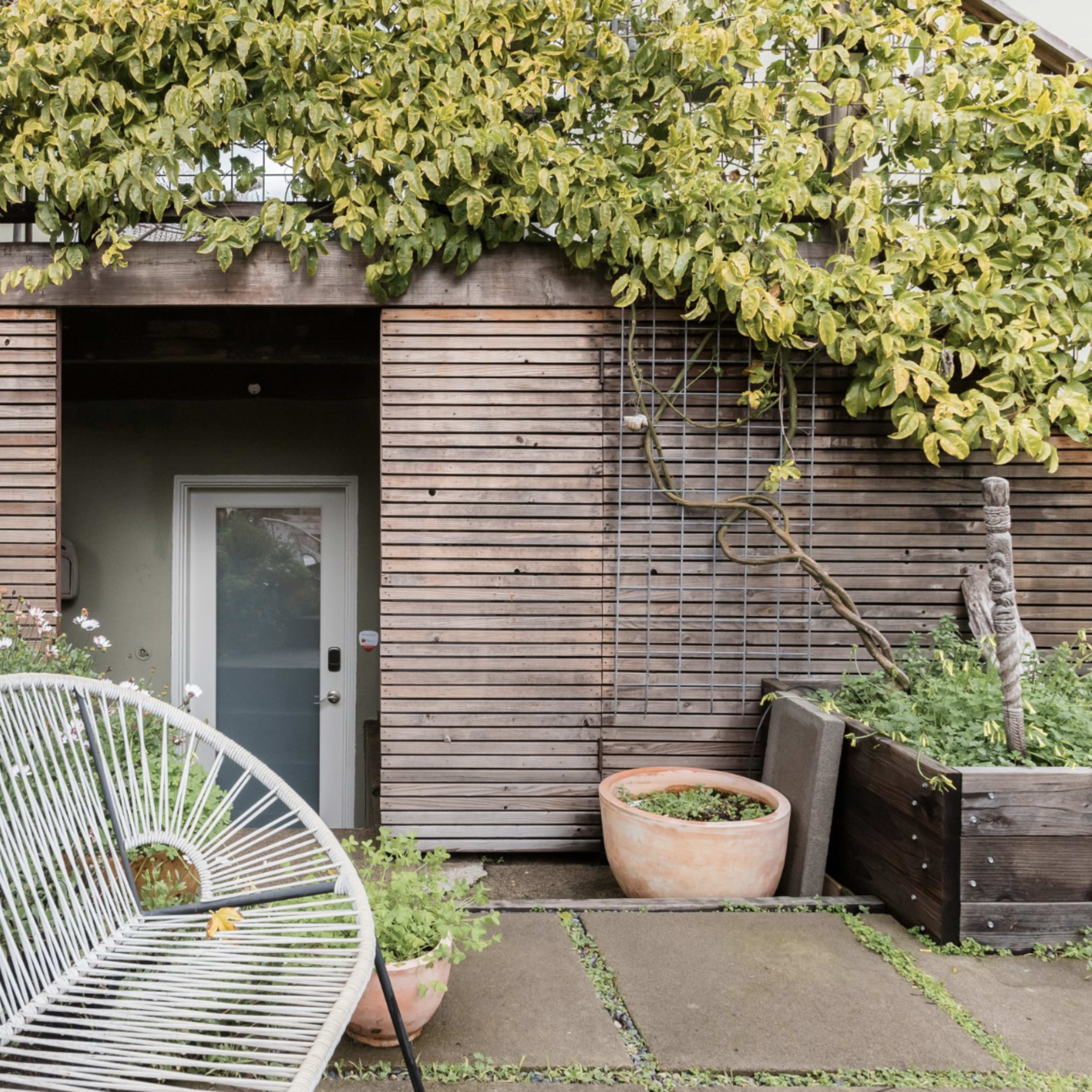 A wooden structure with climbing plants, a door, and planters arranged in a garden setting.