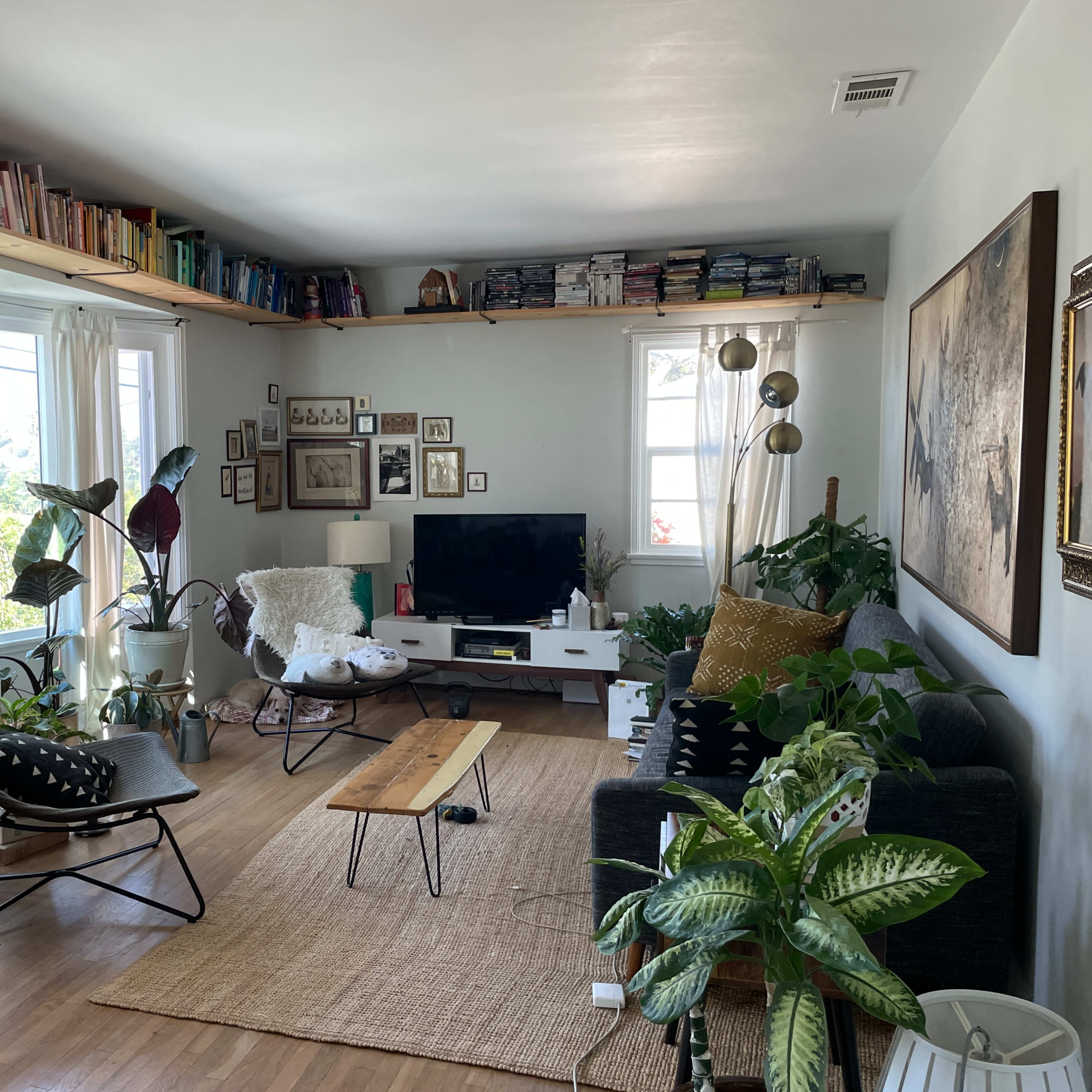 A cozy living room features a gray sofa, a wooden coffee table, shelves filled with books, plants, and a television.
