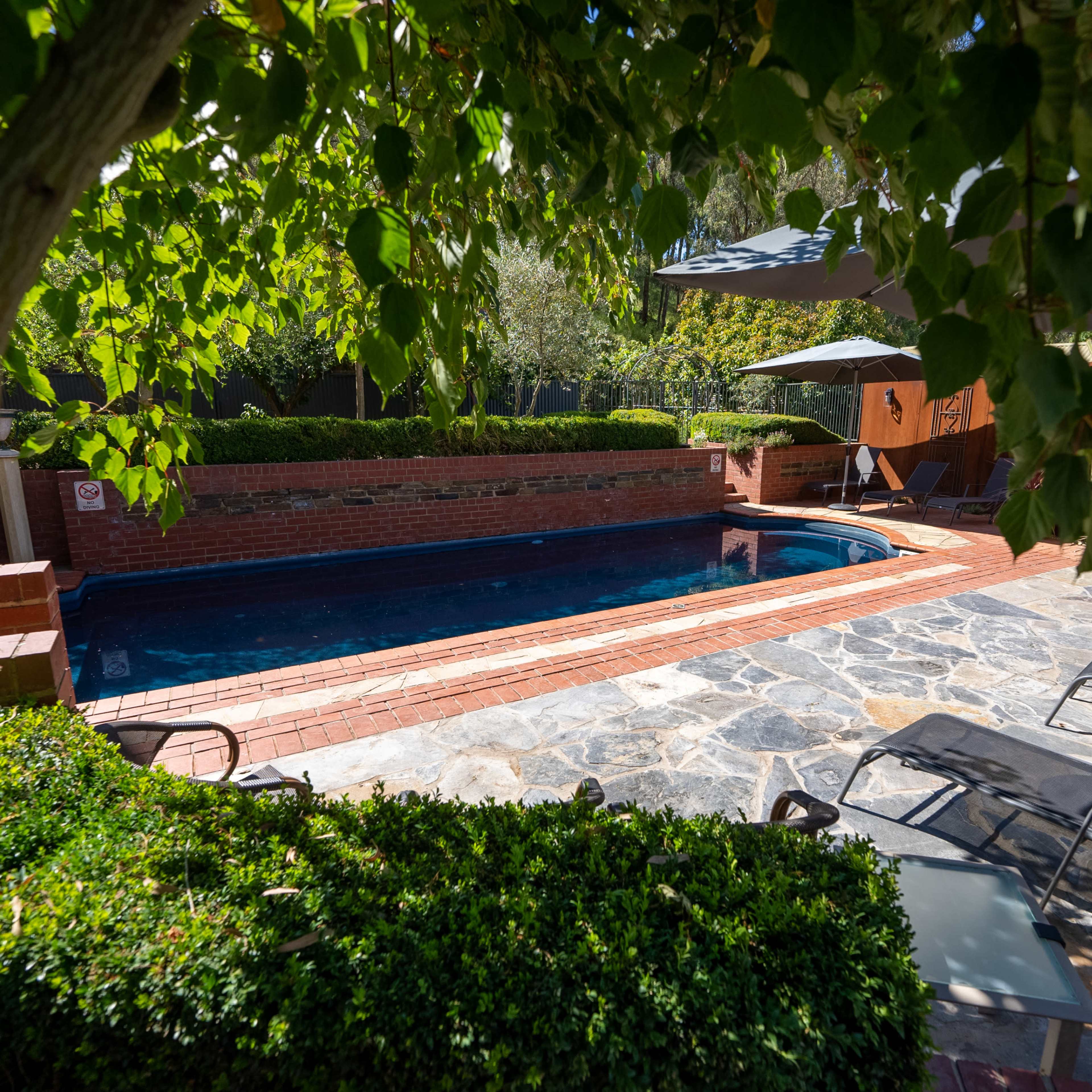A backyard scene featuring a rectangular pool surrounded by stone pavers, lounge chairs, and lush greenery.