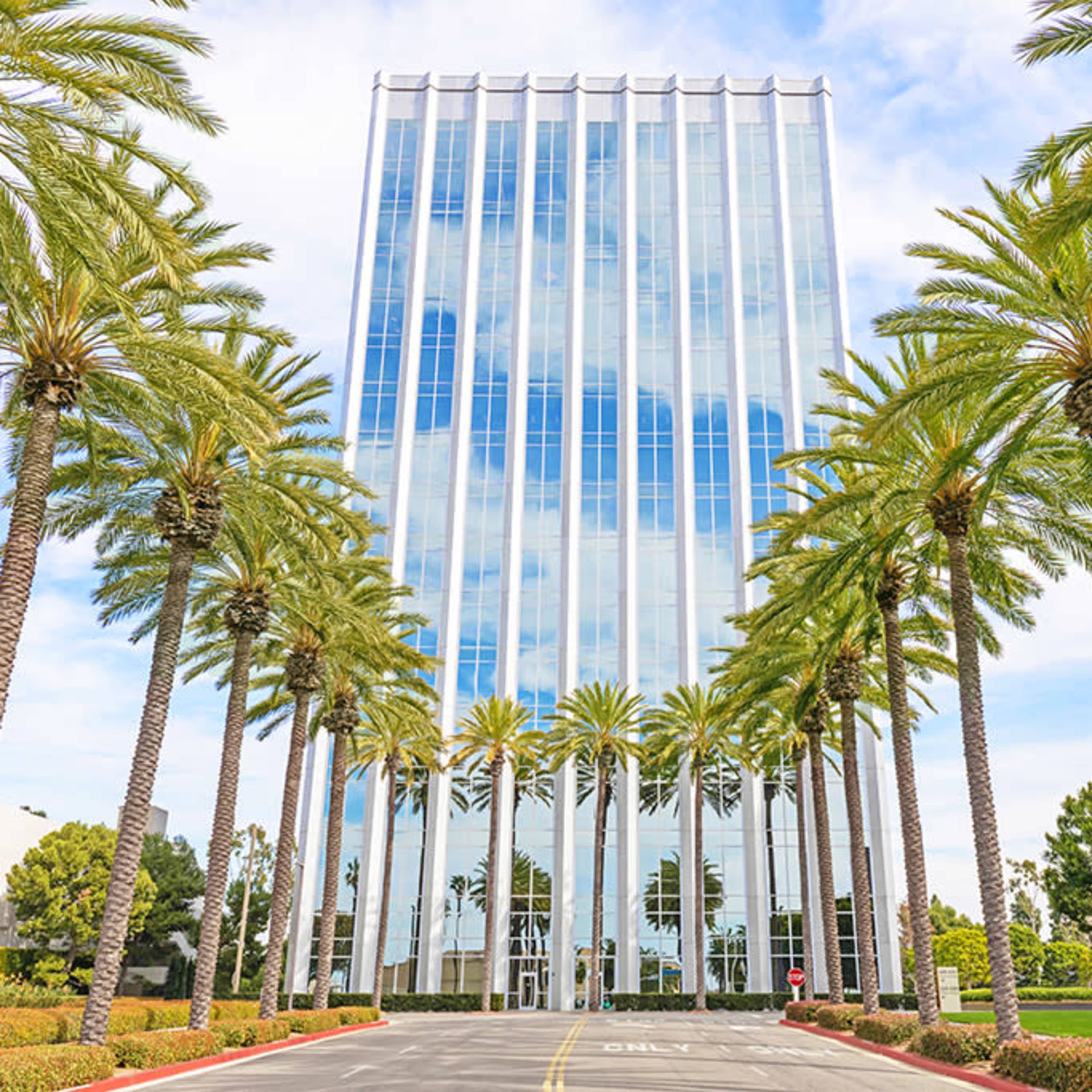 A tall glass building is framed by rows of palm trees along a well-maintained driveway.