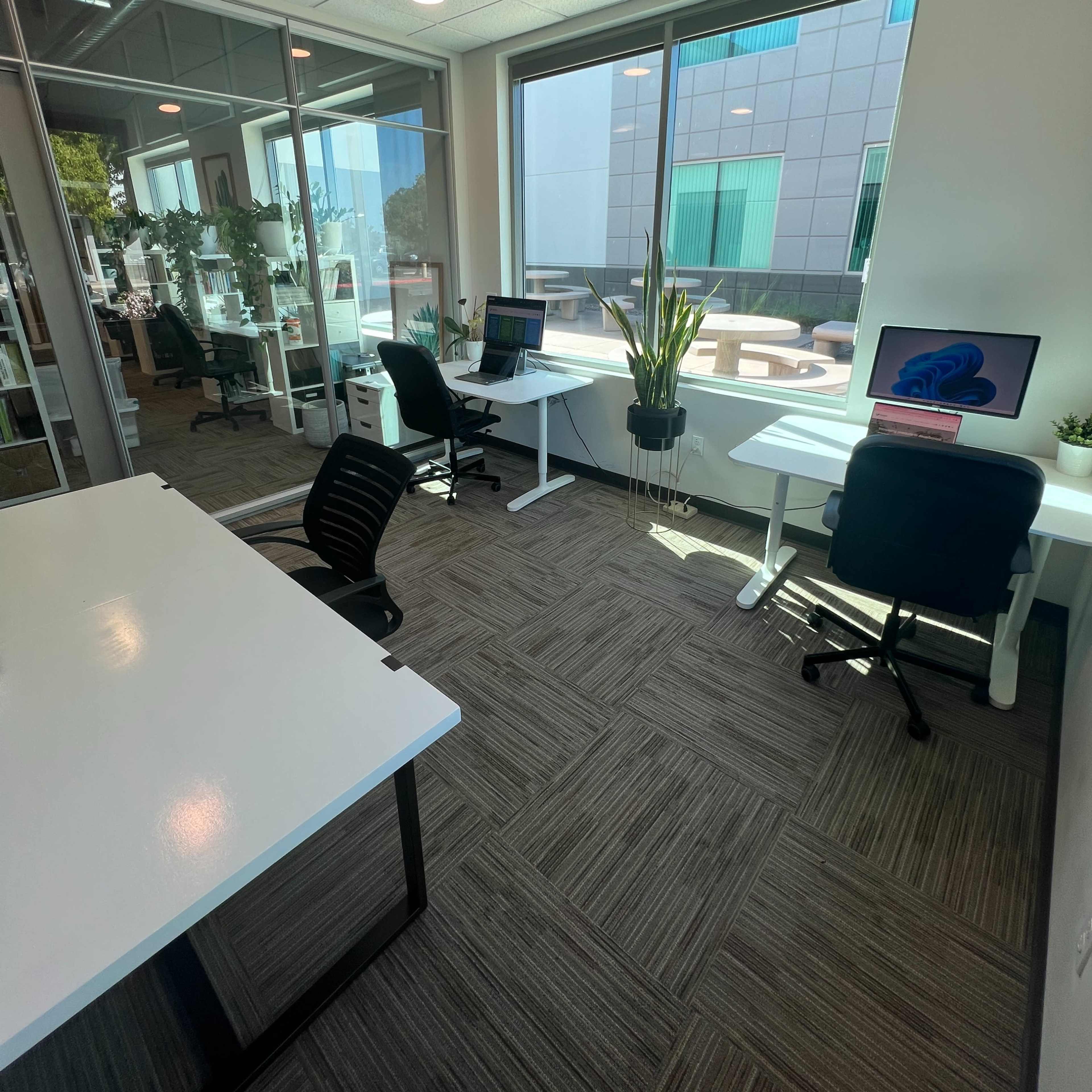An office space with two desks positioned near large windows, accompanied by indoor plants and modern chairs.