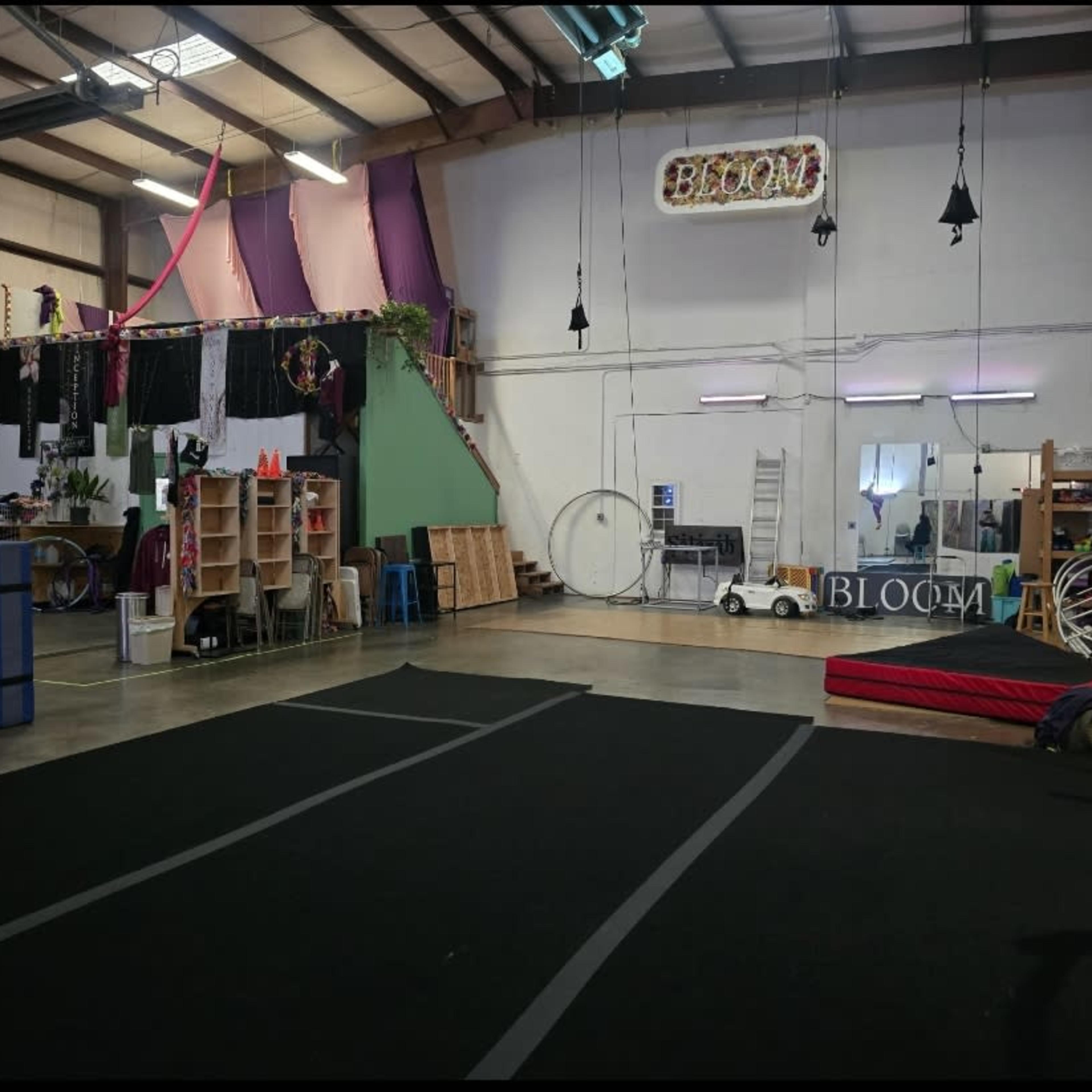 An indoor studio space with exercise mats, shelving units, and various aerial equipment hanging from the ceiling.
