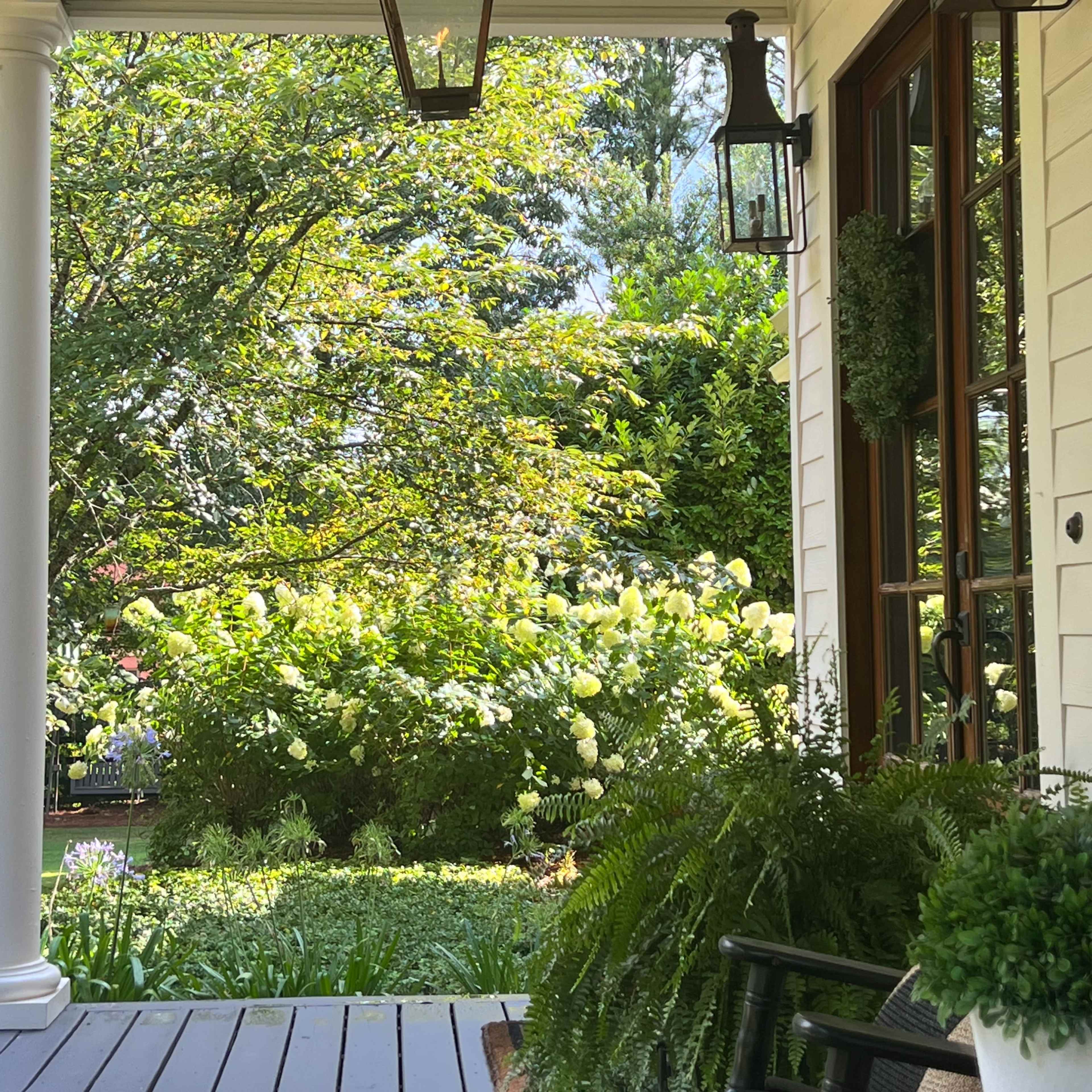 A porch with hanging lanterns, surrounded by greenery and flowering plants.