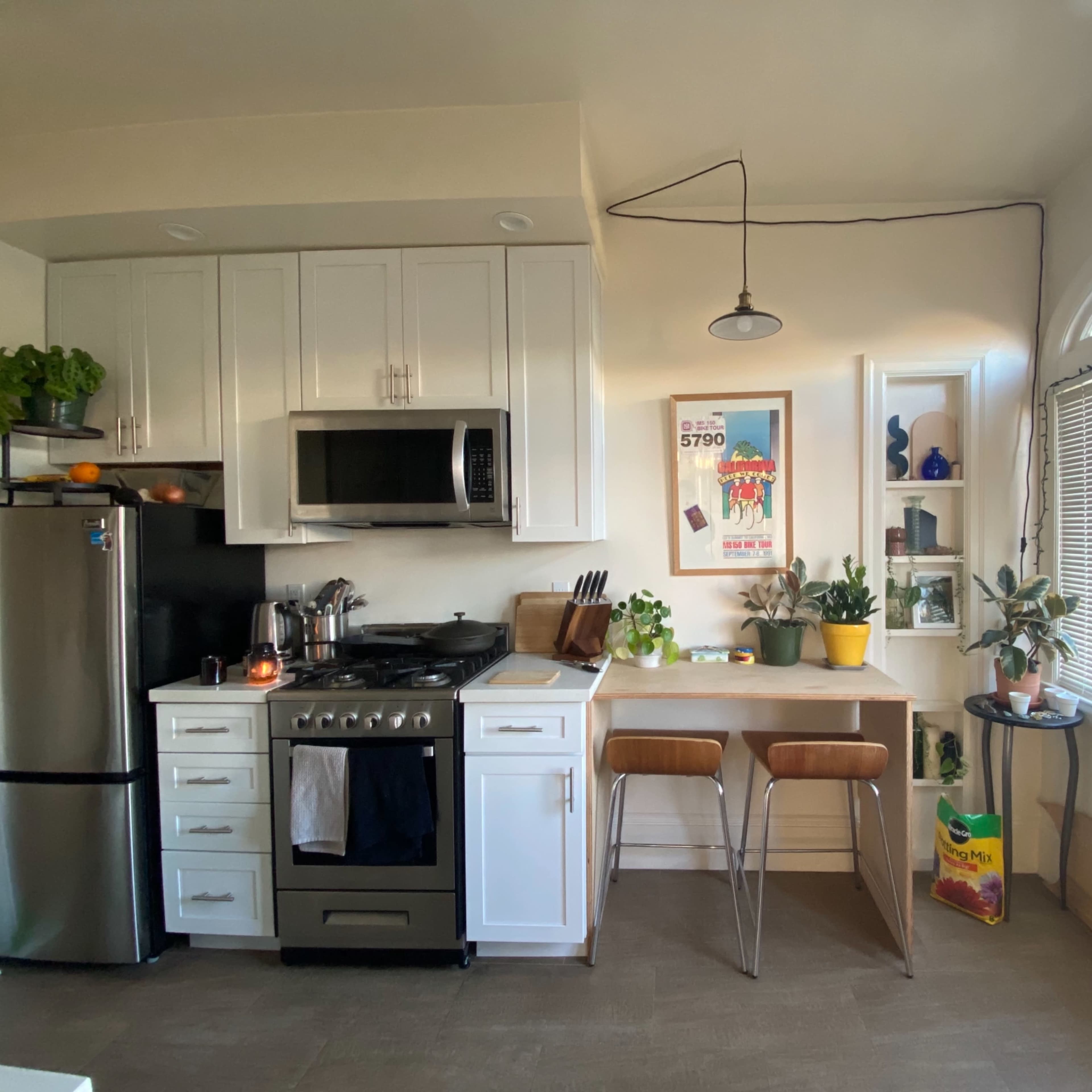 A modern kitchen with stainless steel appliances, a small dining area, and several potted plants near a window.