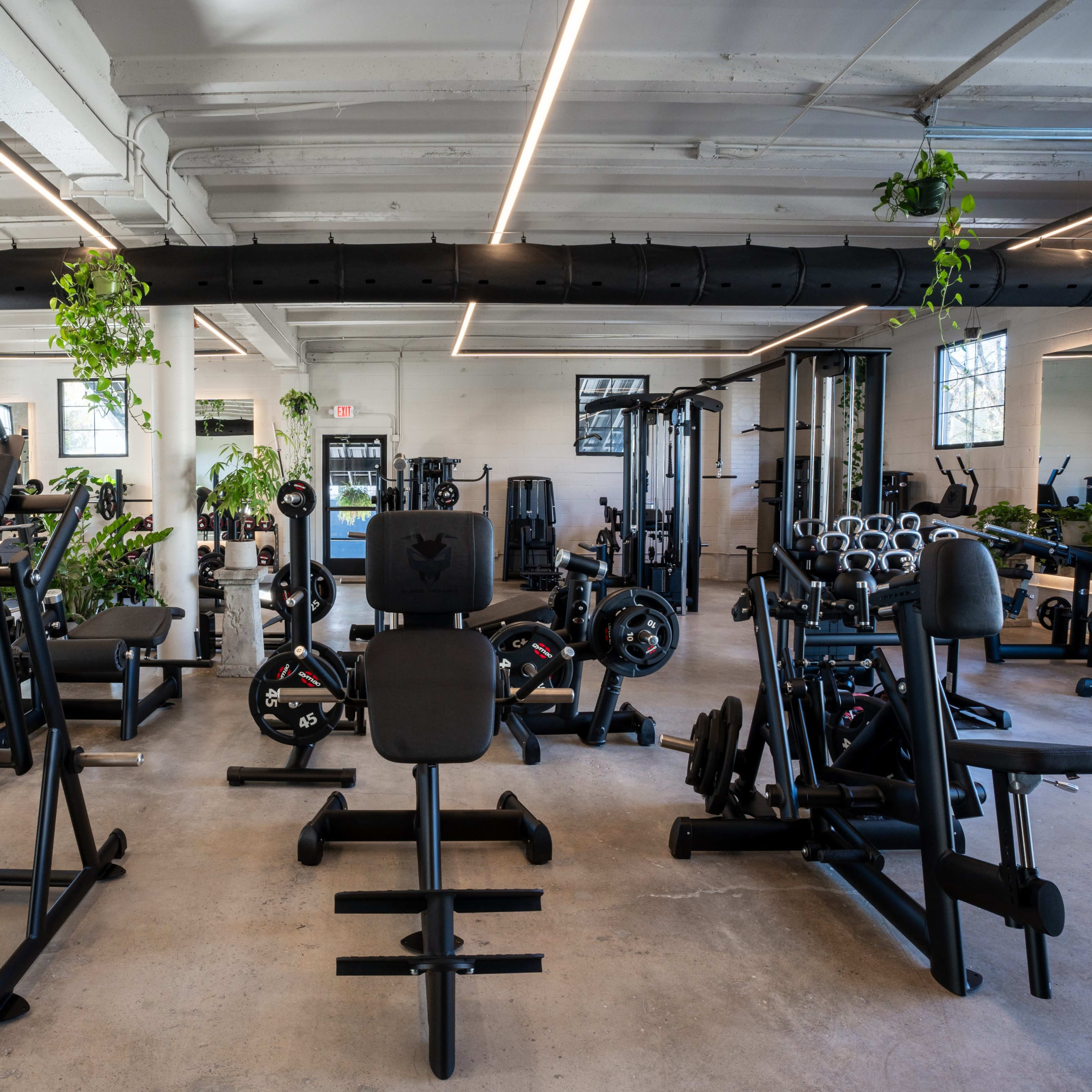 A spacious gym filled with various exercise equipment, including weight machines and free weights, arranged in a well-lit environment with greenery.