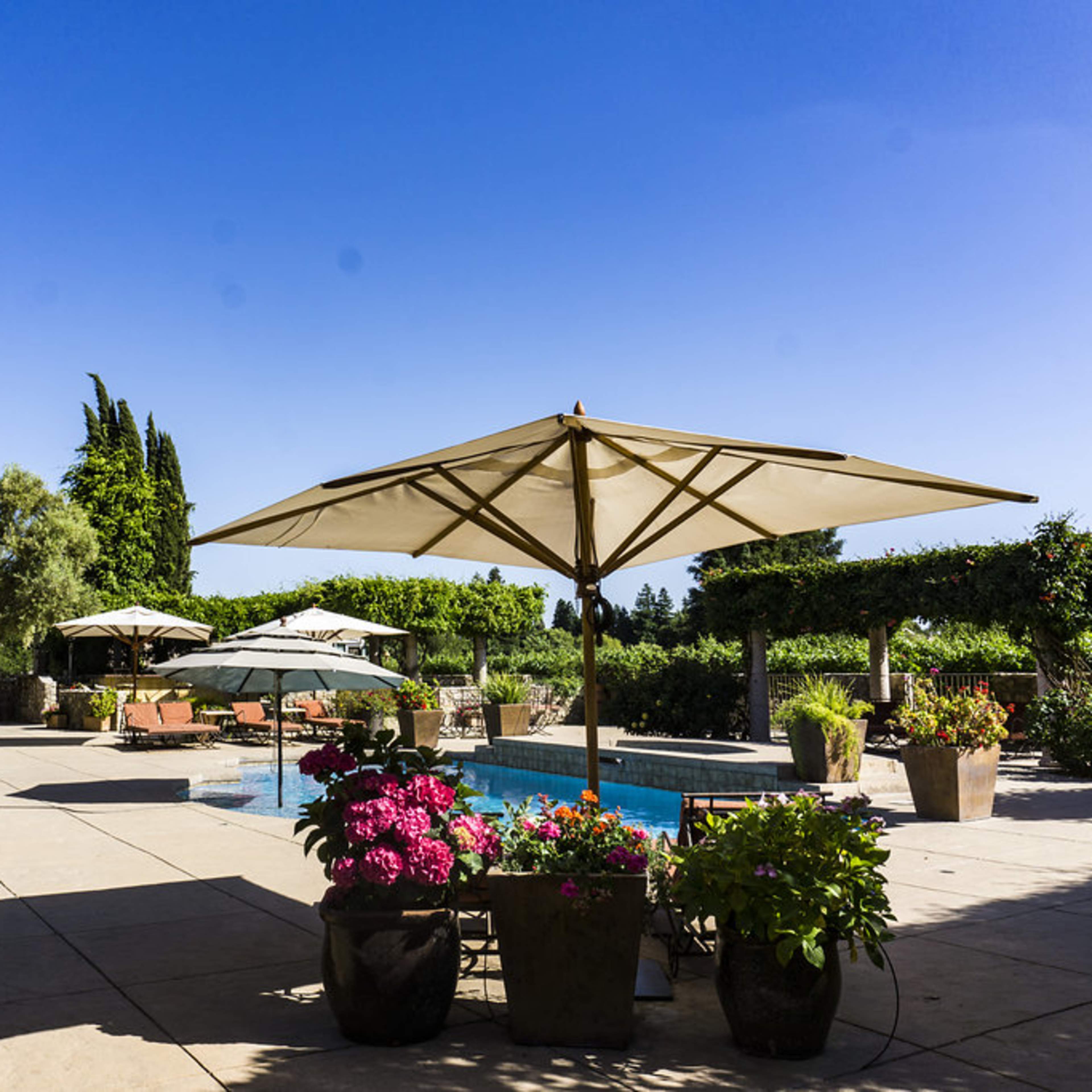 A landscaped outdoor area with a swimming pool, shaded by large umbrellas, surrounded by potted plants and a vineyard in the background.