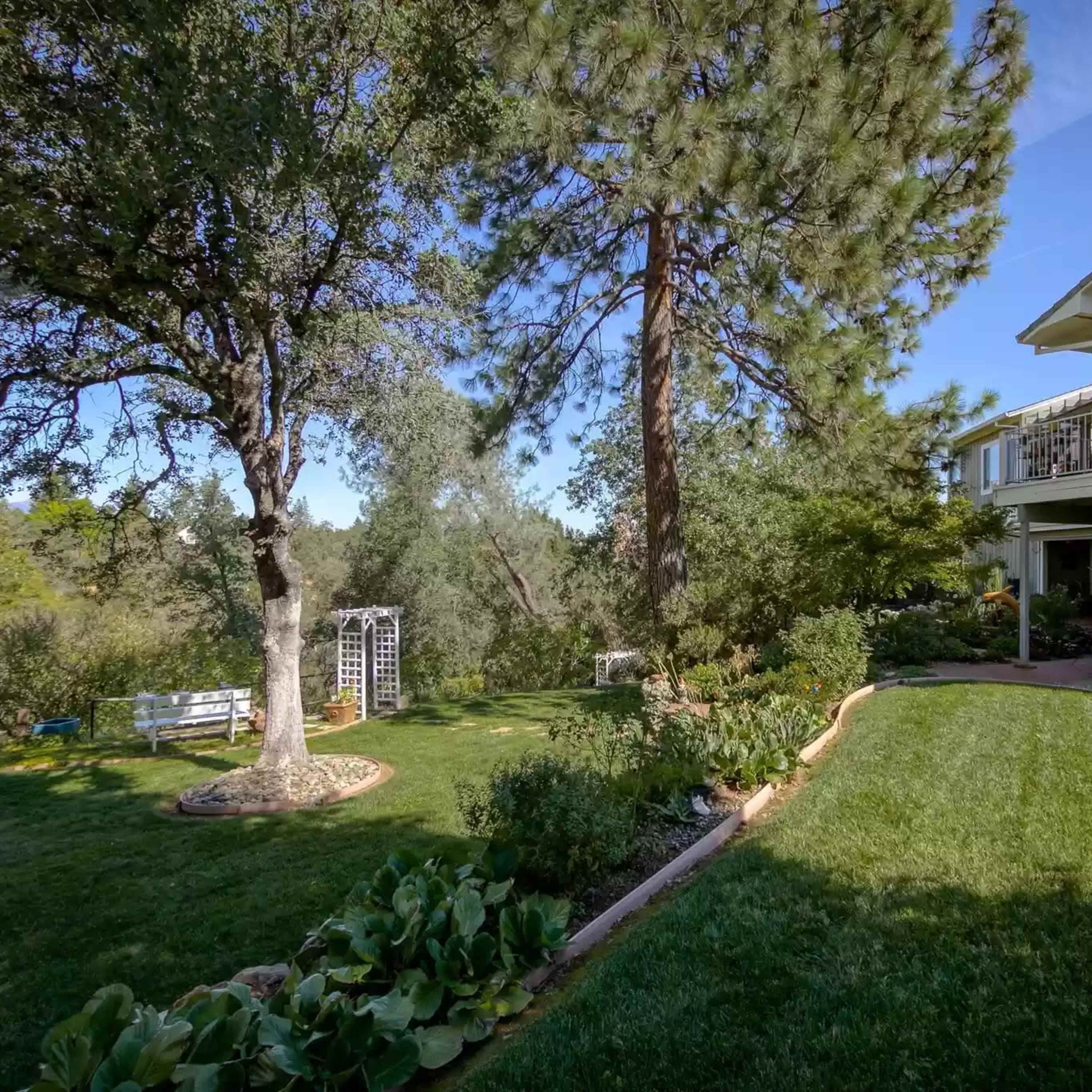 A well-maintained backyard featuring a grassy area, a tree, a garden path, and a house in the background.