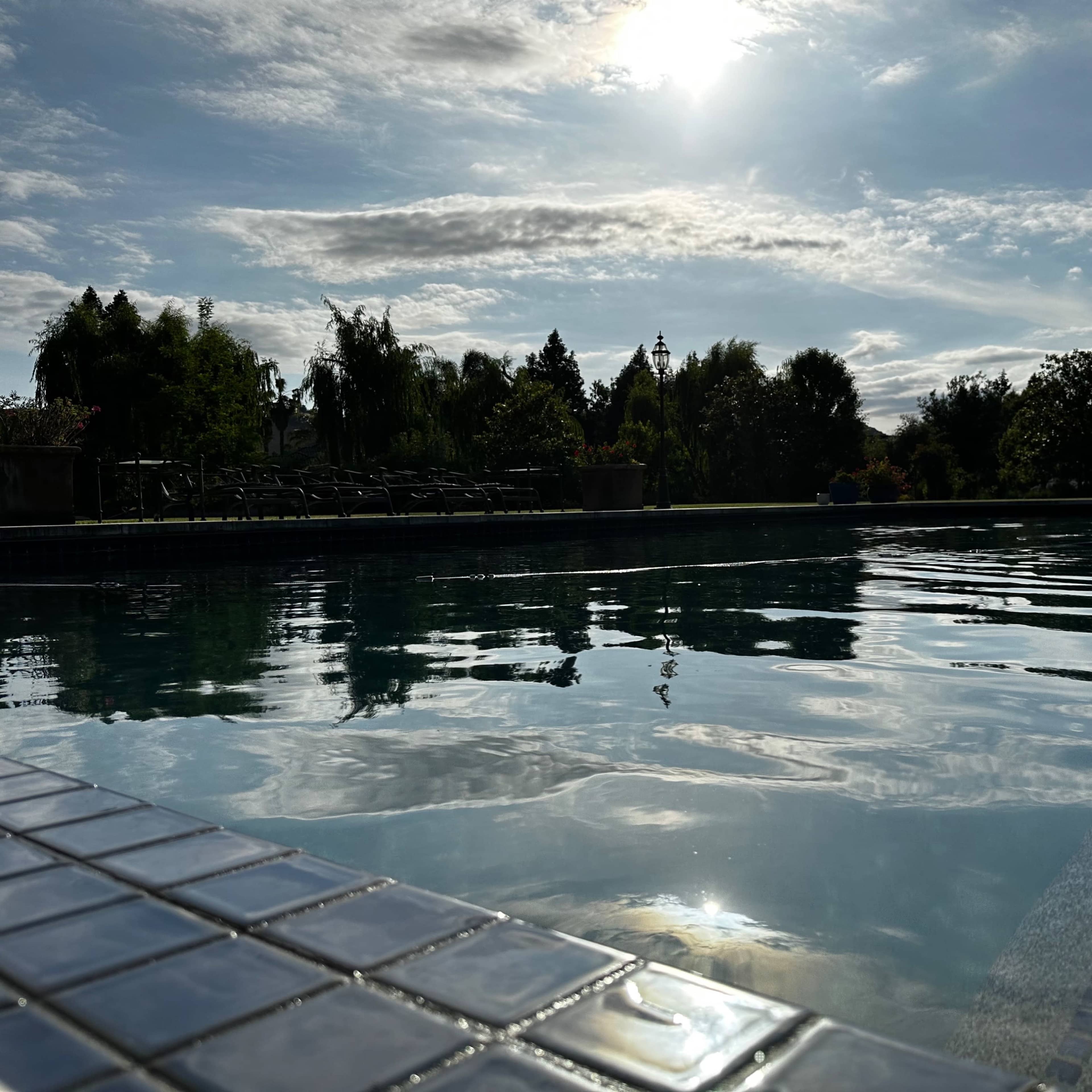 A clear swimming pool with a reflection of clouds and the sun, surrounded by greenery and lounge chairs in the background.