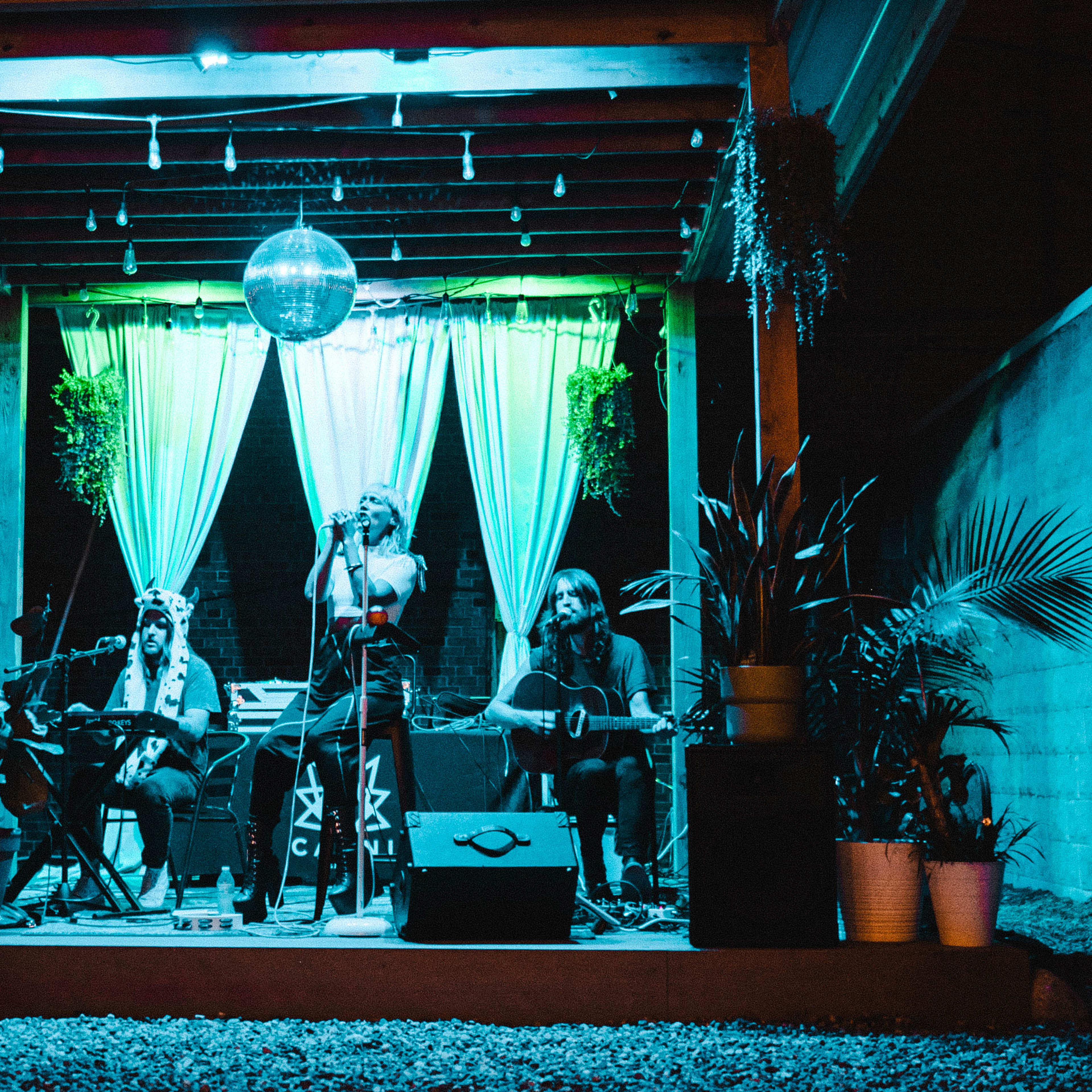A live music performance takes place on a stage adorned with plants and colorful lighting, featuring musicians playing instruments under a disco ball.
