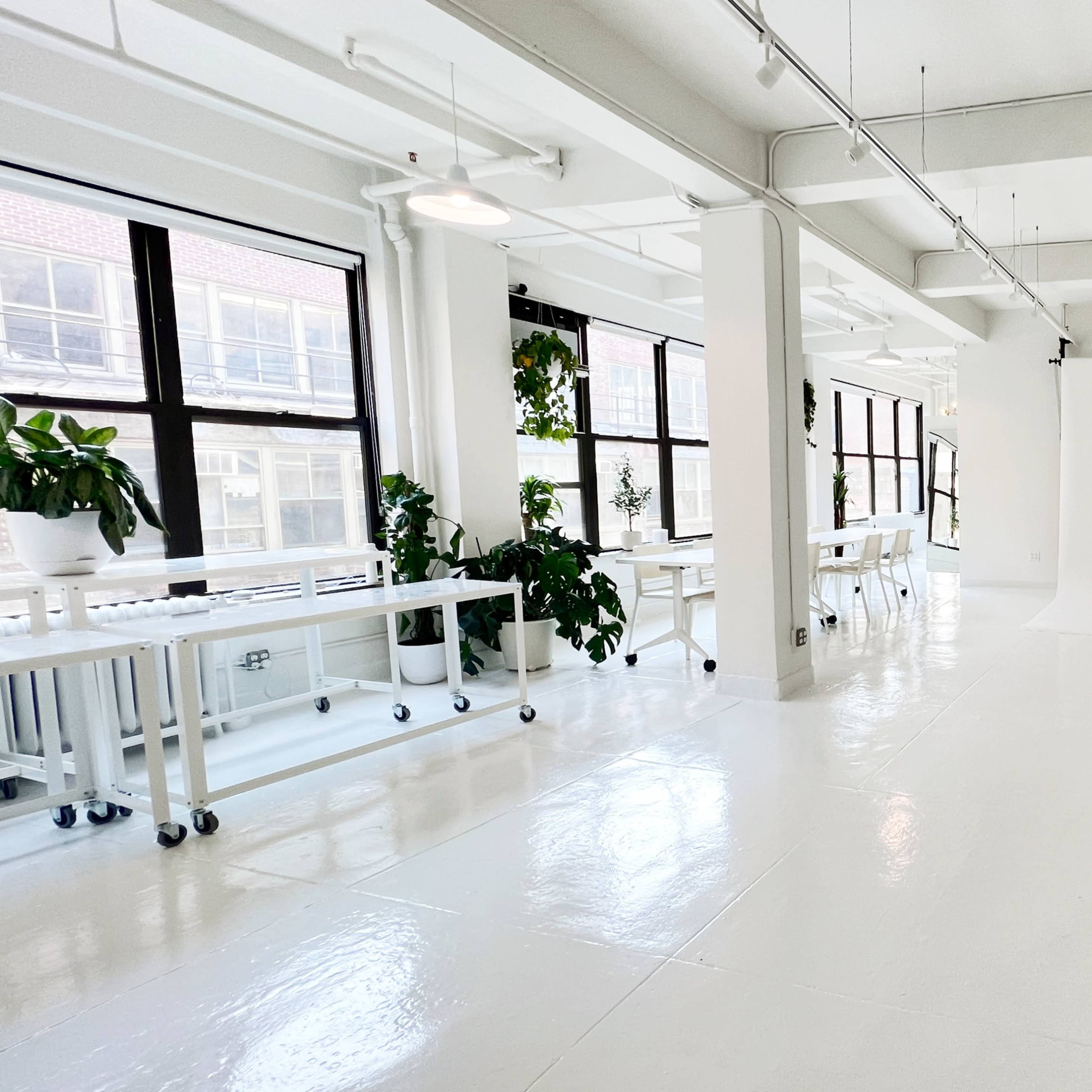 A bright, spacious studio with white walls, polished floors, and several plants, featuring a backdrop area and tables for work.