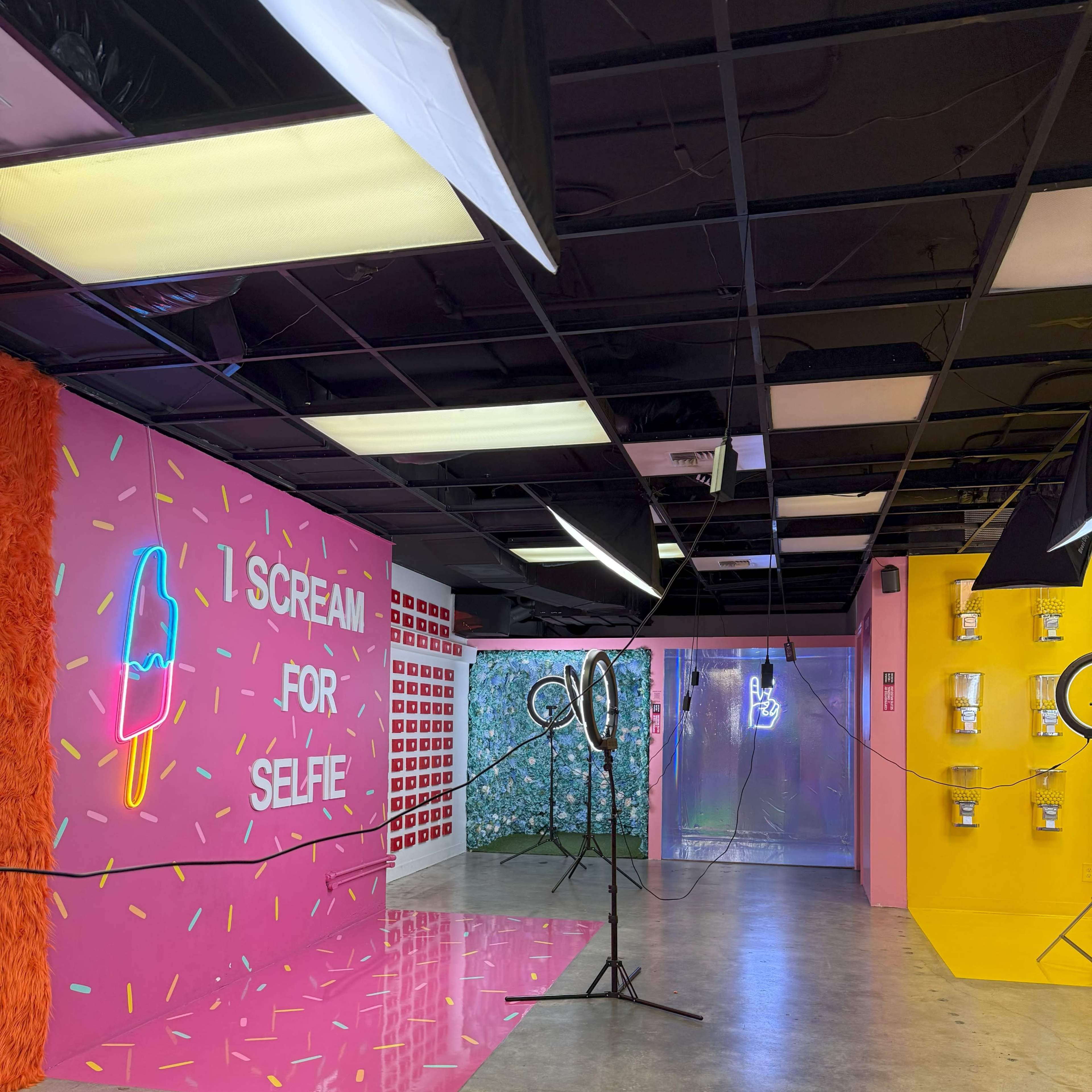 Vibrant 3,500 SF Interactive Selfie Museum - Perfect for Content Creation & Events Image in Downtown Seattle, Seattle, WA