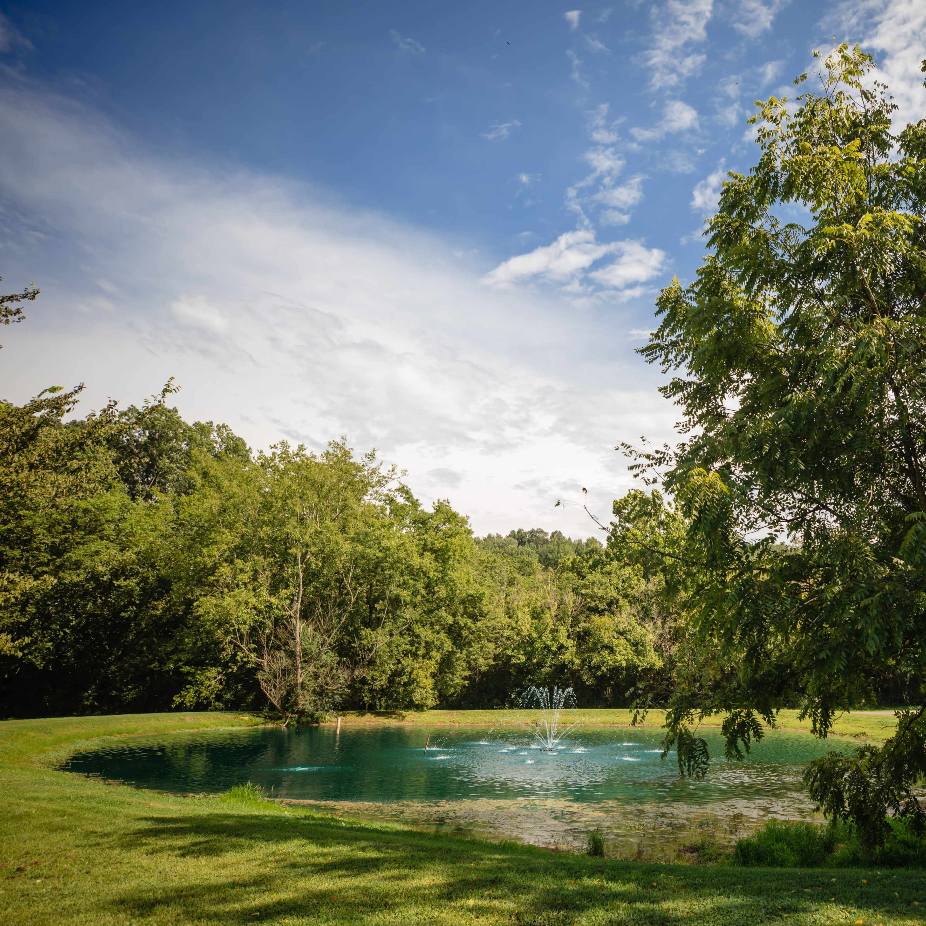 A tranquil pond surrounded by lush greenery and a tree on the edge, with a fountain spraying water in the center.