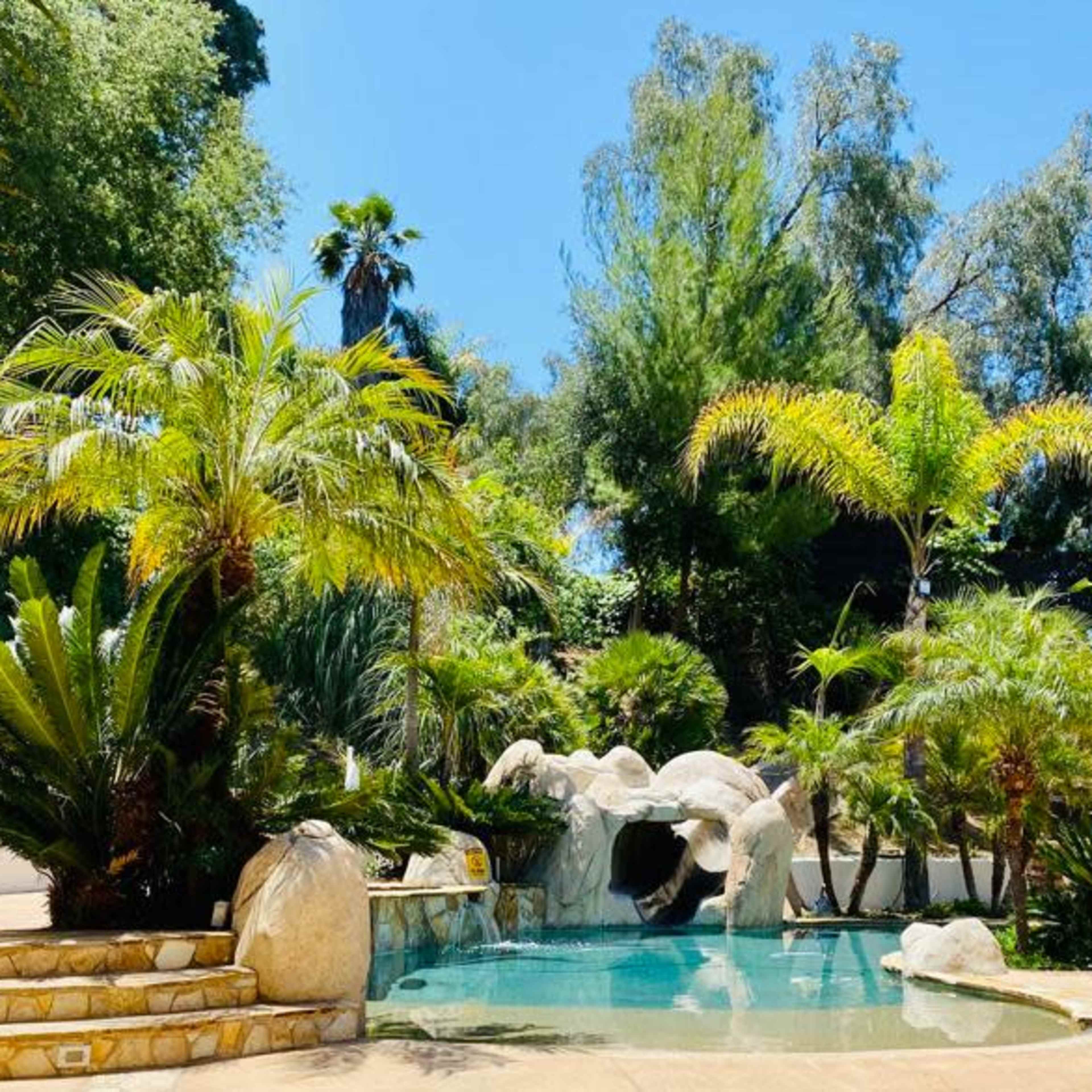 Tropical Back Yard Oasis *30% off for  March and April bookings* Image in Rancho San Diego, El Cajon, CA