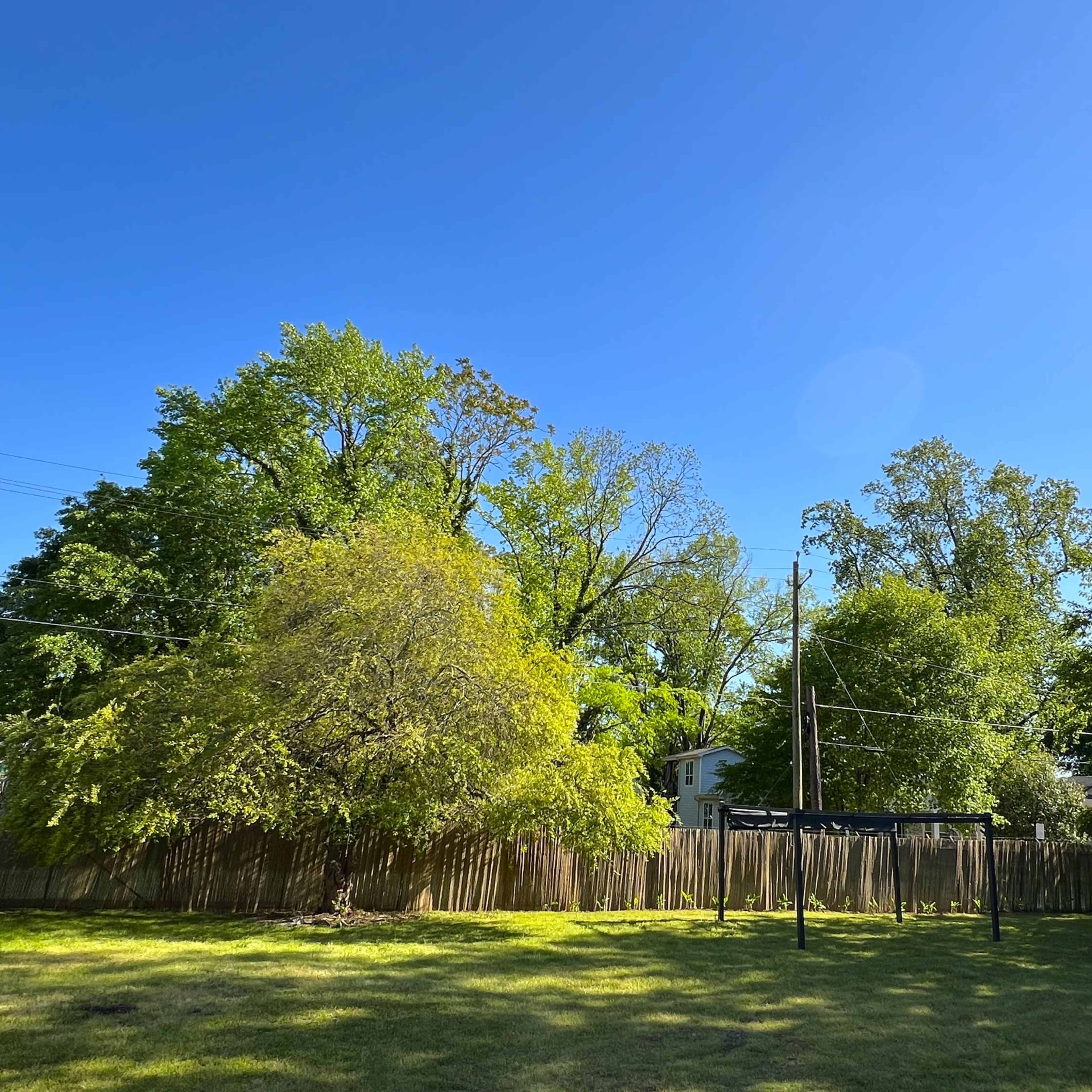 Outdoor Green Space for Events, Screenings, Concerts Image in South Atlanta, Atlanta, GA