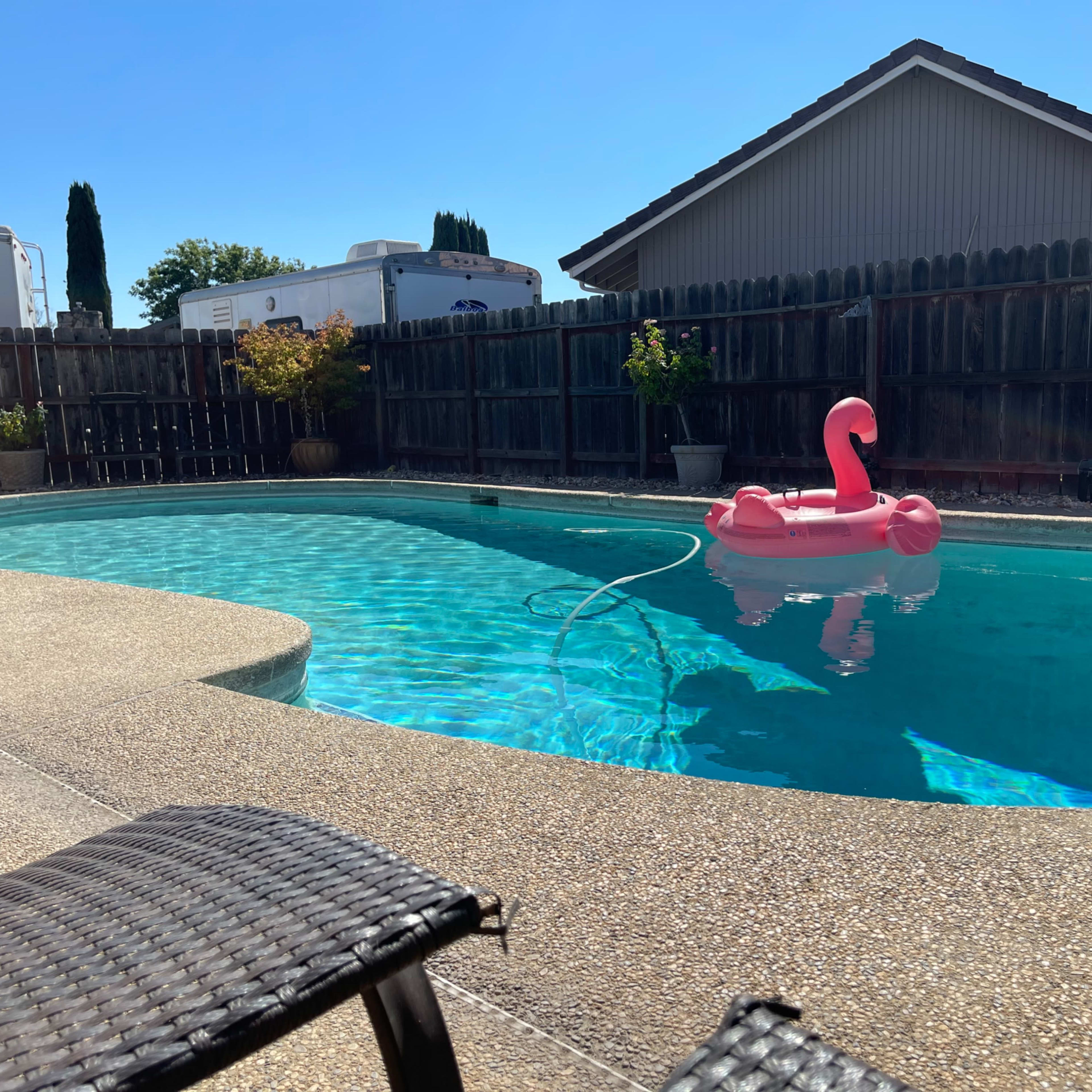 A pink flamingo-shaped pool float is anchored in a clear blue swimming pool surrounded by a patio and wooden fence.