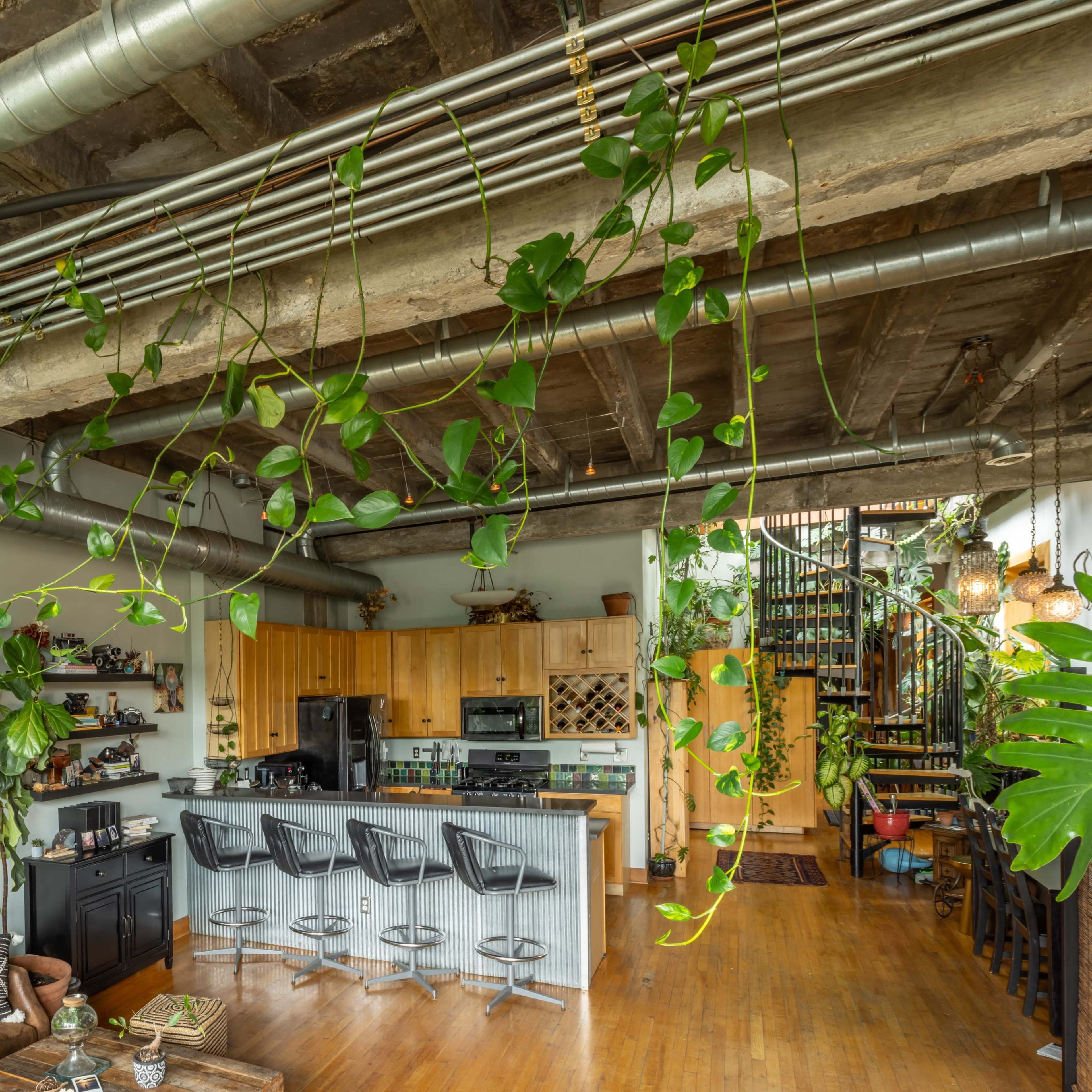 A spacious, loft-style living area with a kitchen, plants hanging from the ceiling, and a staircase leading to an upper level.