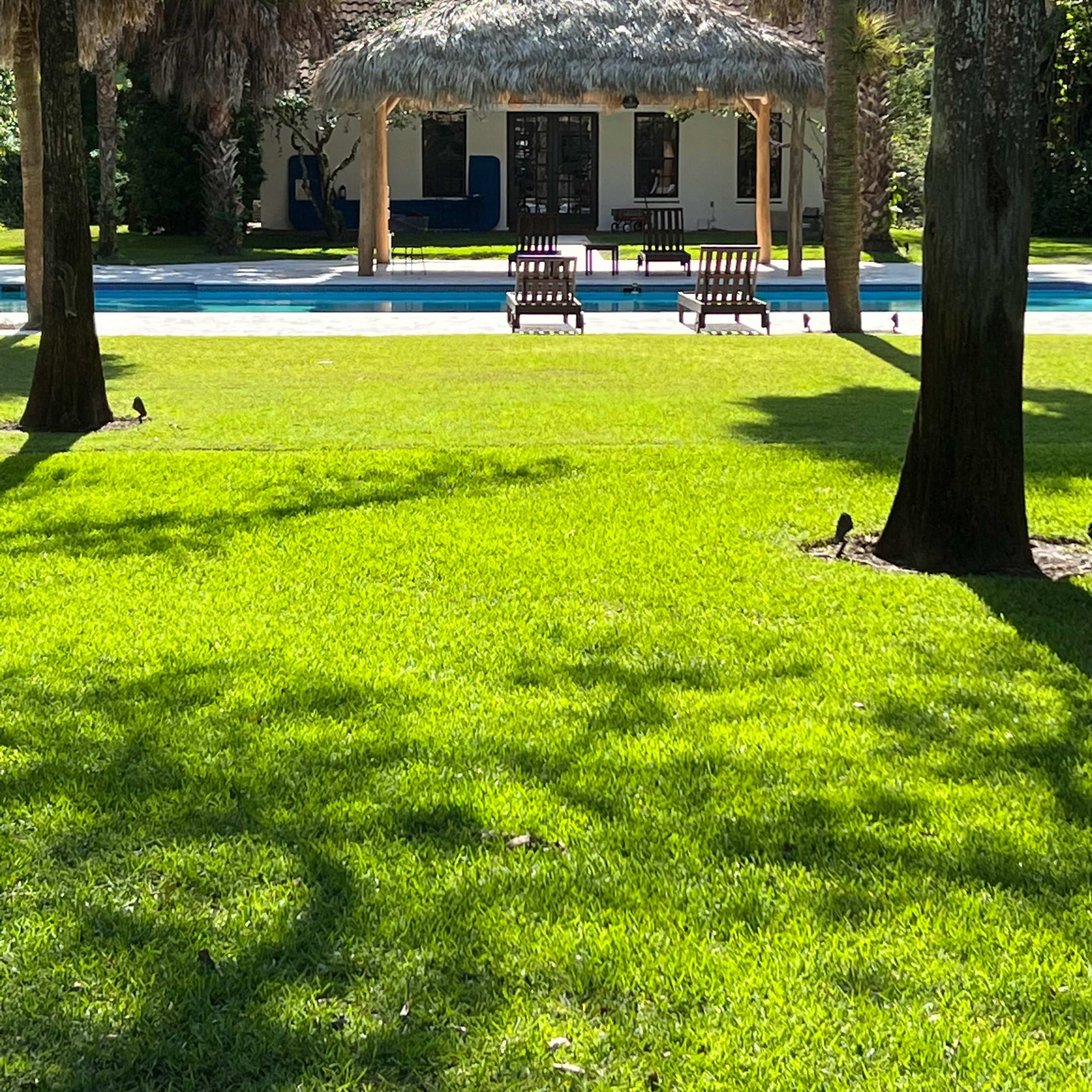 A thatched-roof house with a pool is surrounded by a lush green lawn and palm trees.