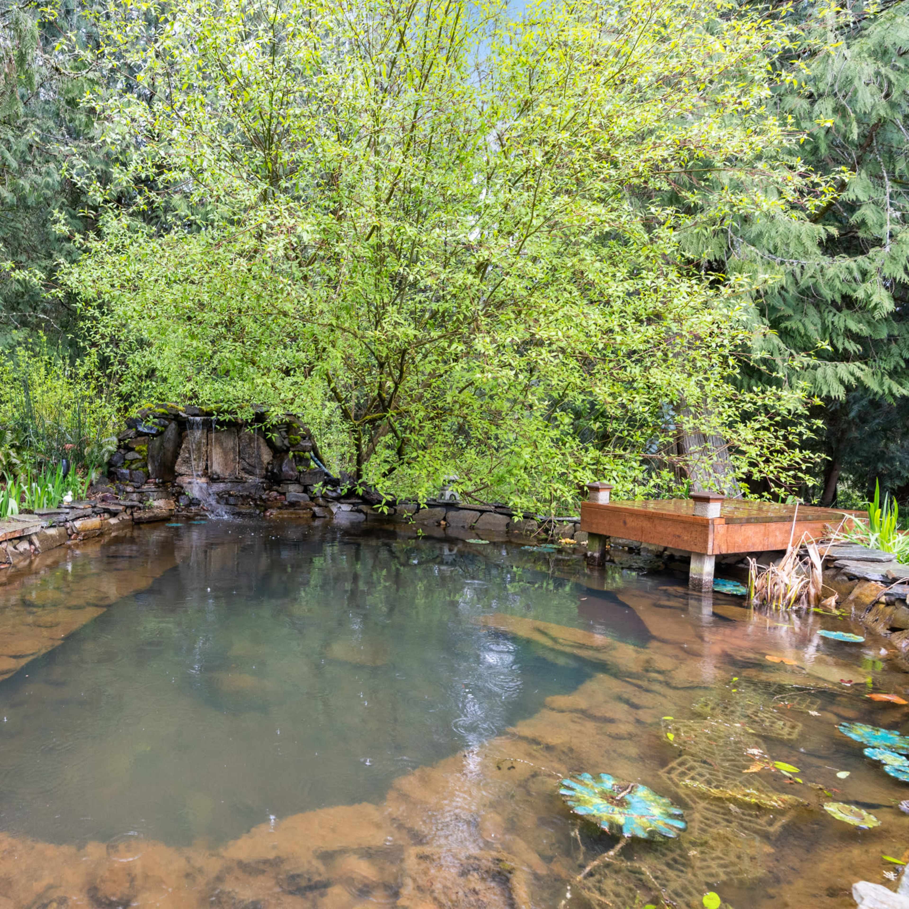 A natural pond surrounded by a stone wall, with a small waterfall and greenery, including a tree, in a forested setting.