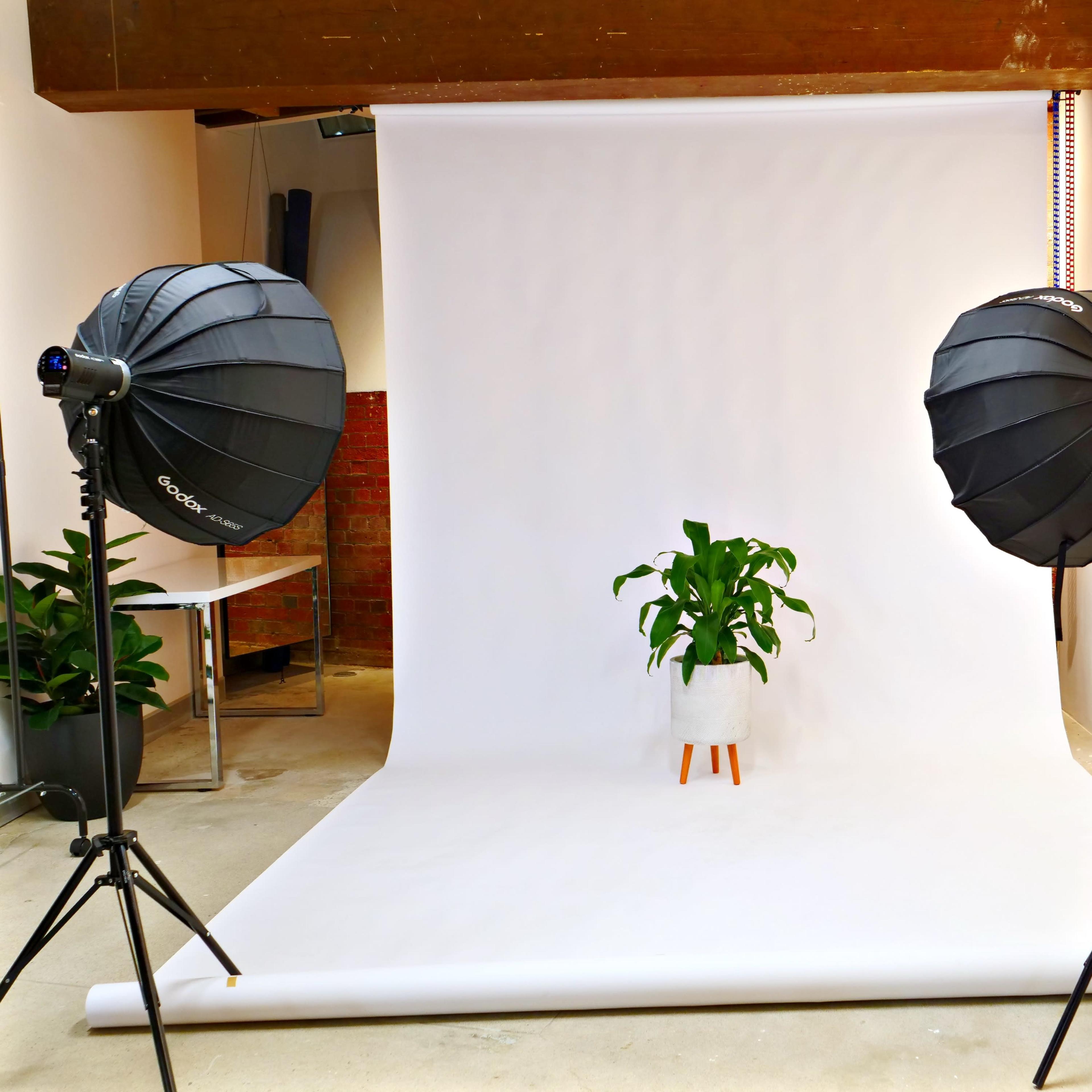 A photography setup featuring two softbox lights on either side of a white backdrop with a potted plant in the center.