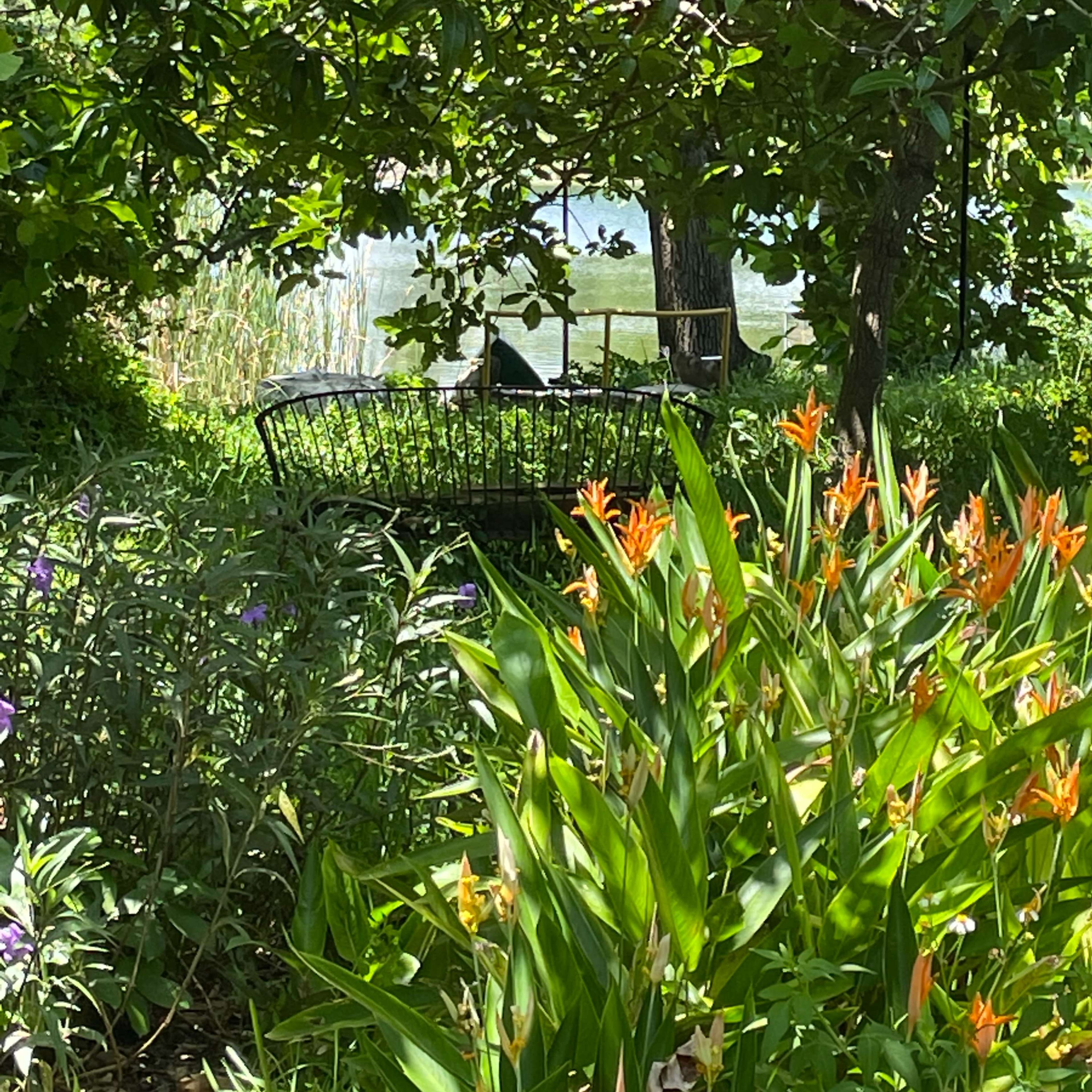 A wrought-iron bench is nestled among vibrant flowers and greenery beside a calm body of water.