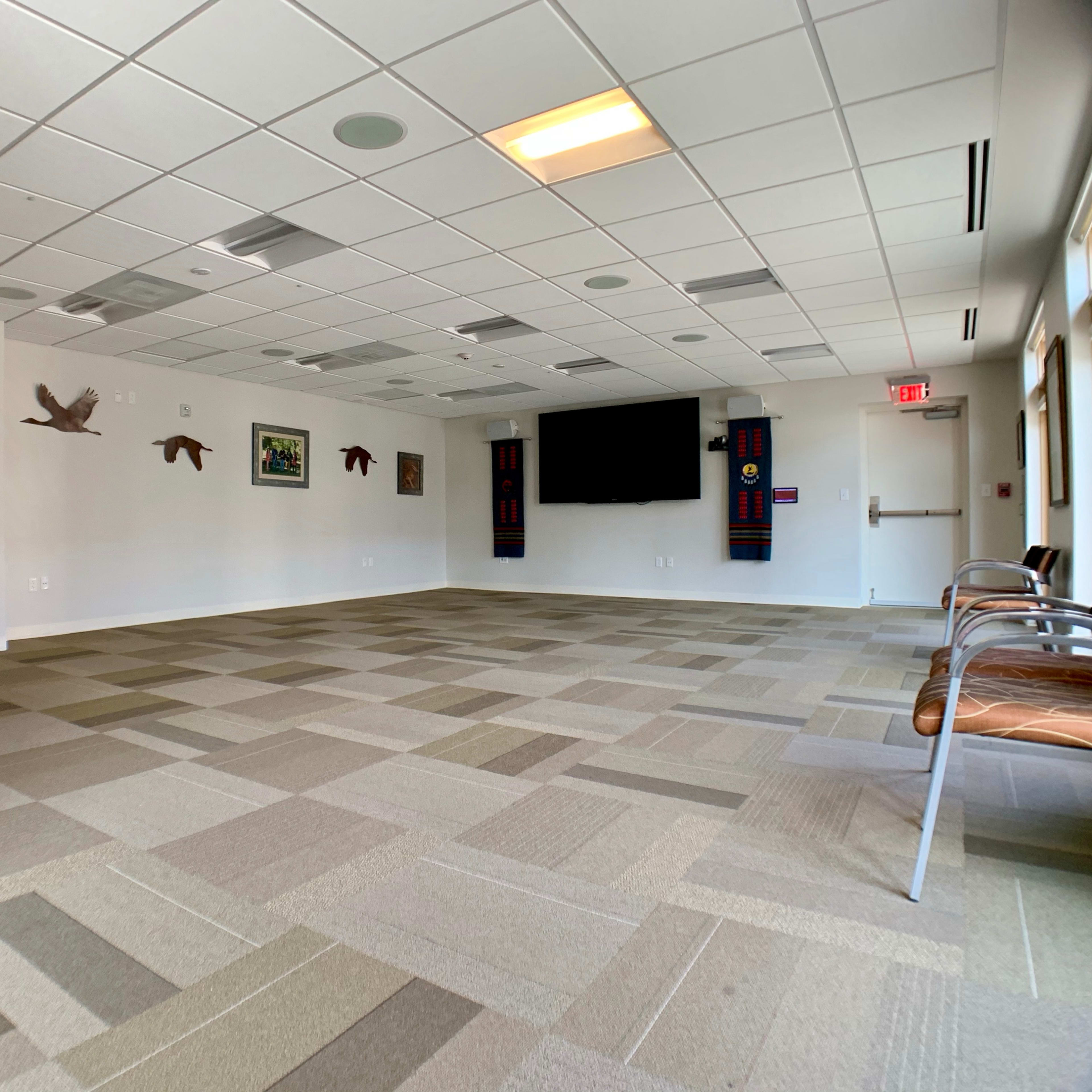 The room features a spacious layout with a carpeted floor, several chairs, a large screen on the wall, and artwork depicting birds.