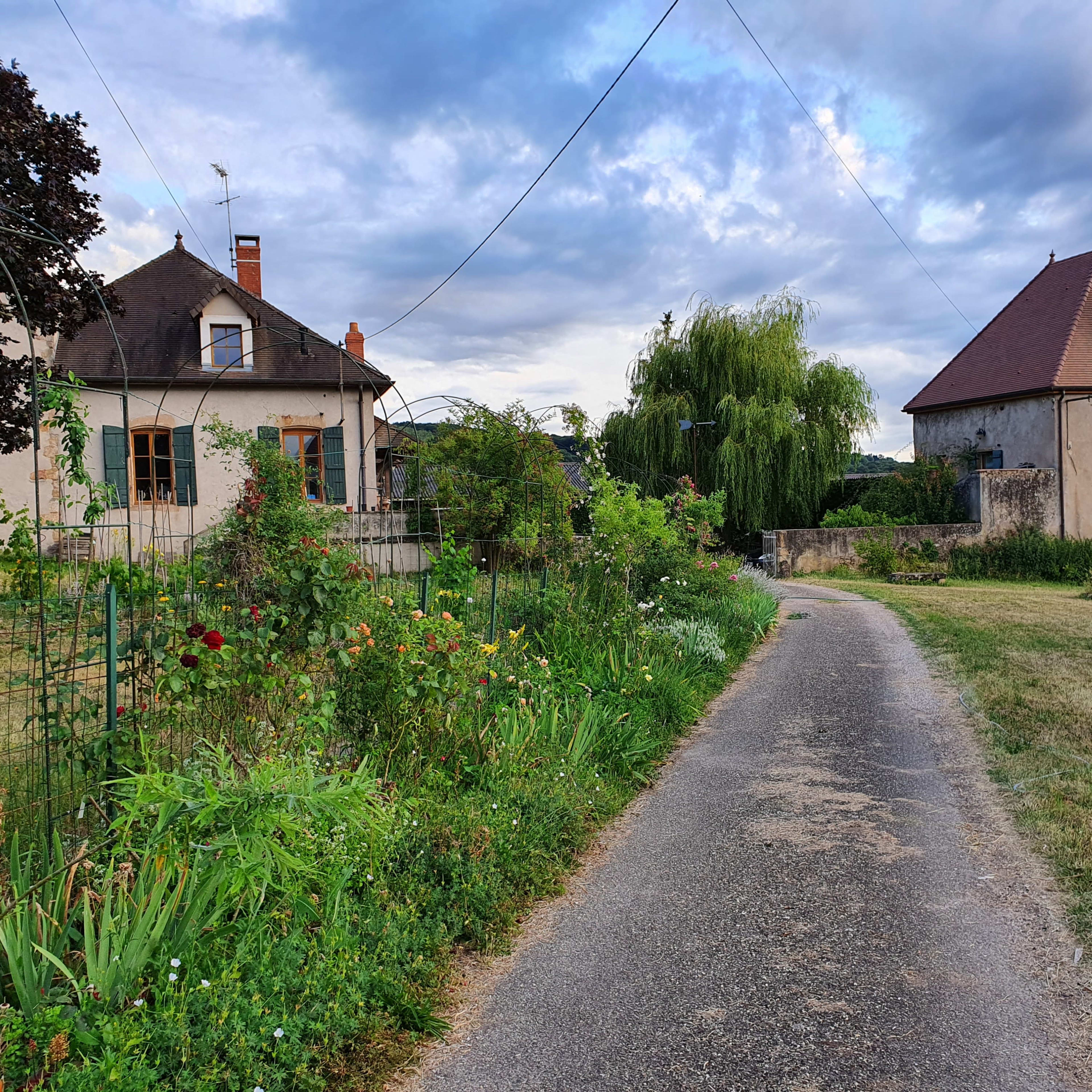 A narrow, winding road leads through a countryside area with two houses on either side, surrounded by greenery and a garden.