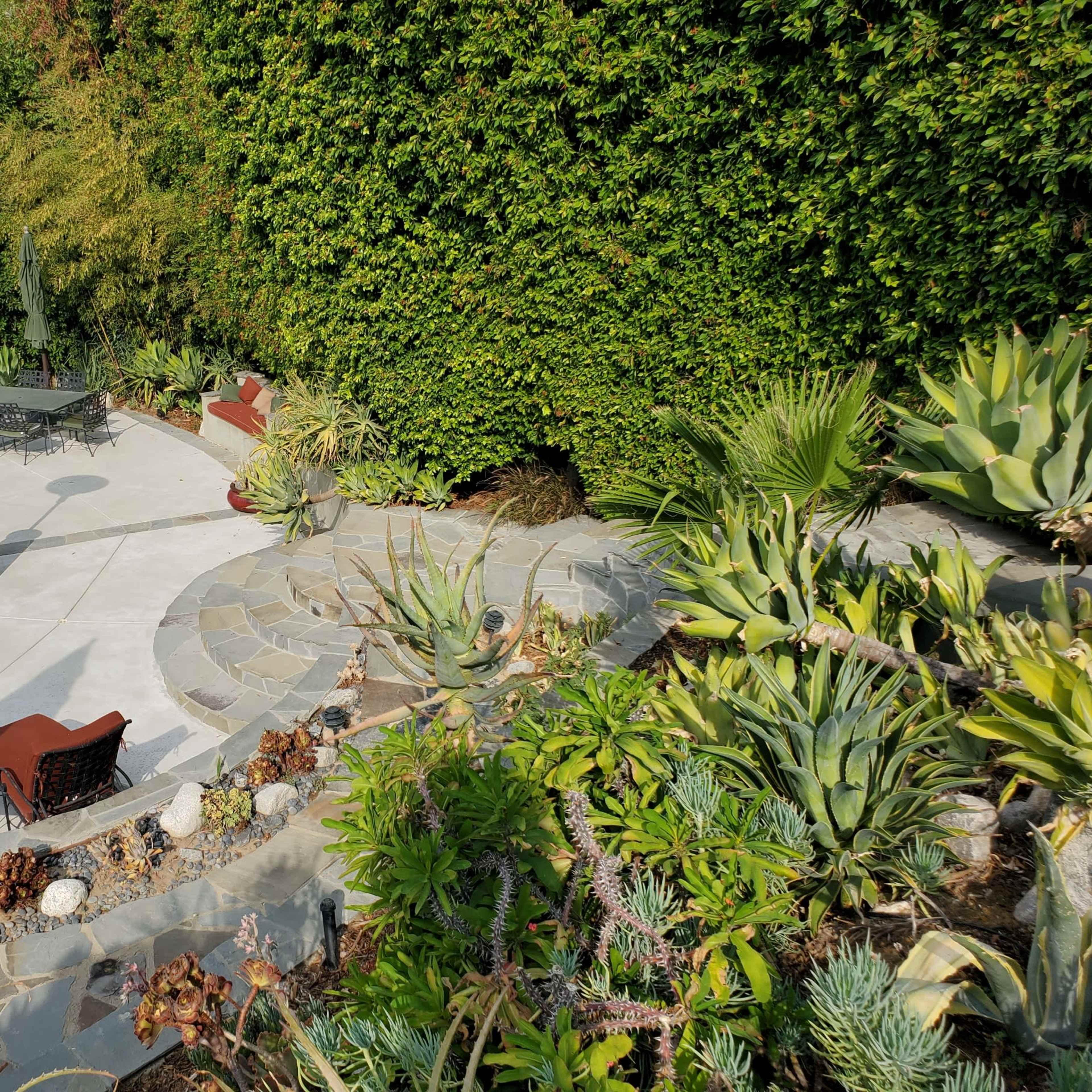 A landscaped backyard with a swimming pool, patio furniture, and a variety of succulents and greenery.