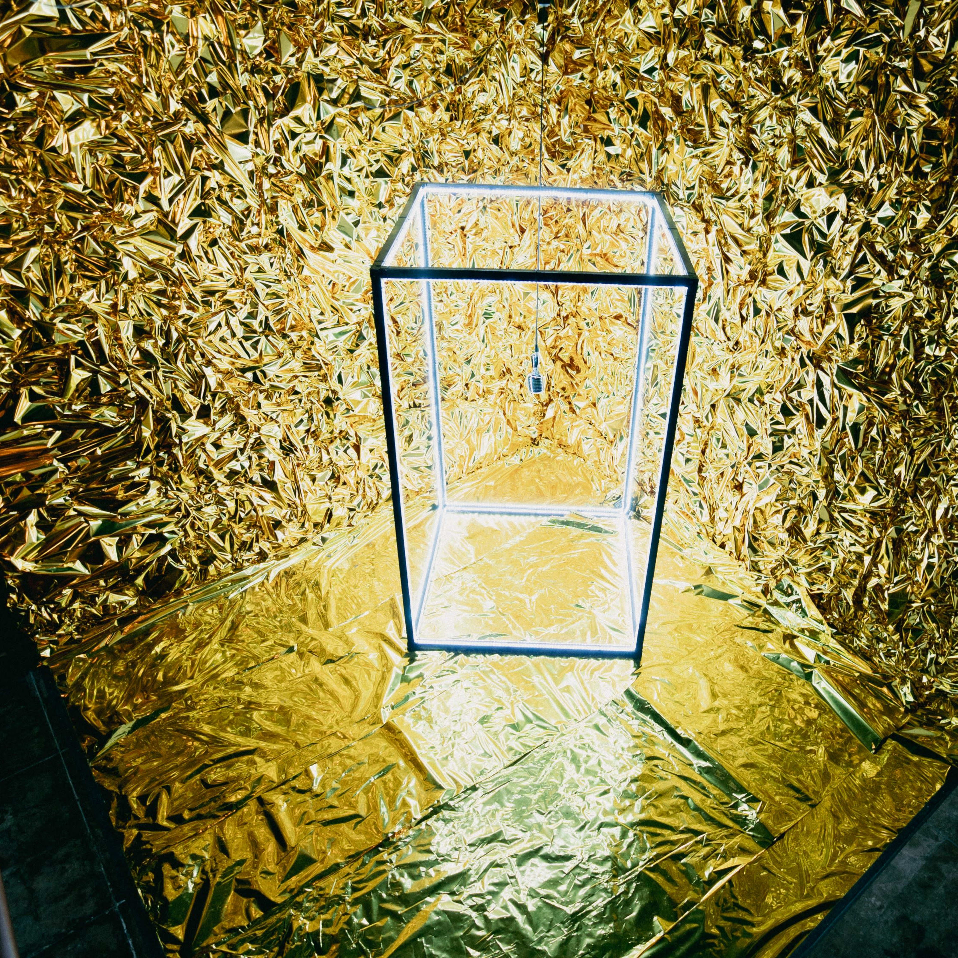 A transparent display case is illuminated and placed against a shimmering gold backdrop.