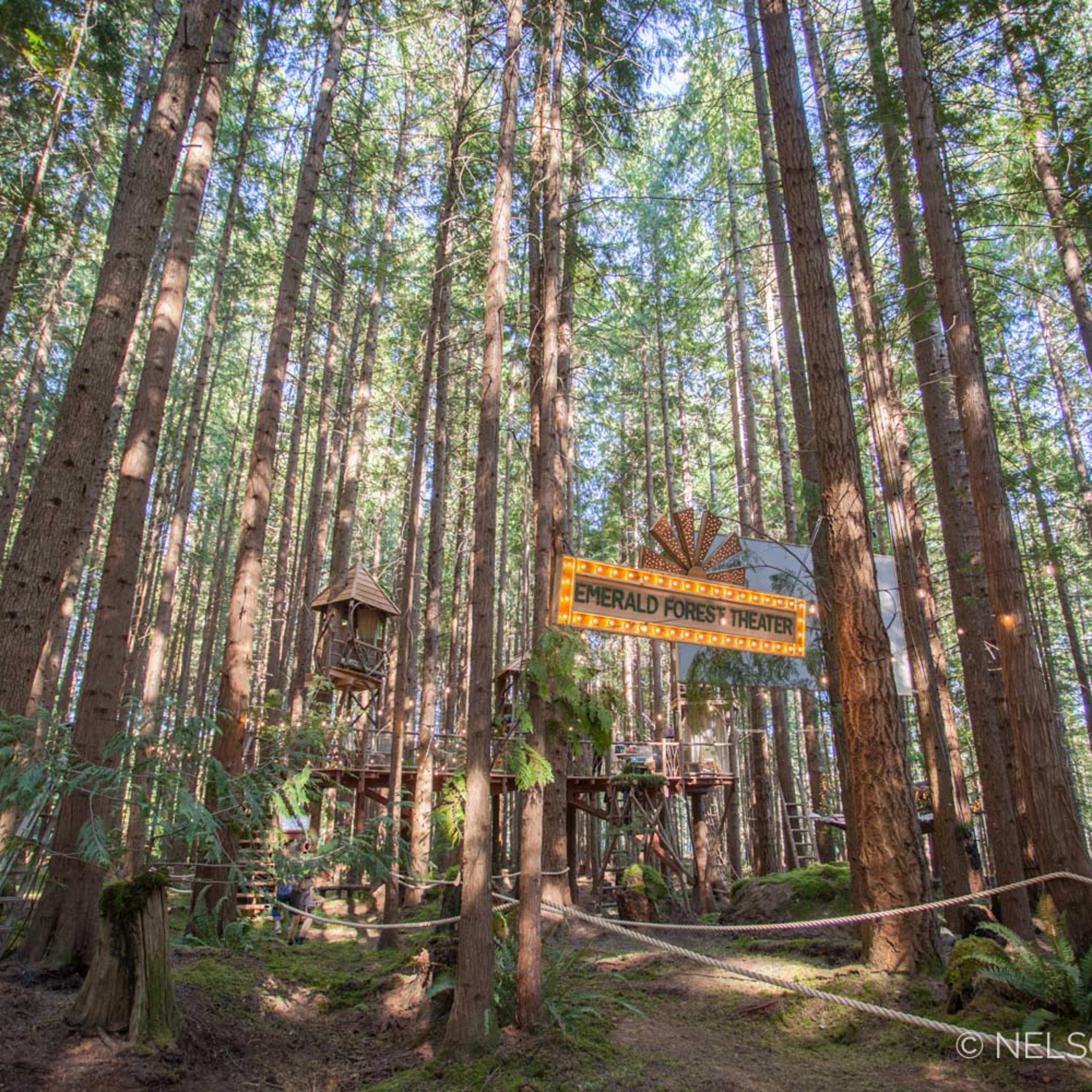 A treehouse nestled among tall trees in a lush forest, with a sign reading "Emerald Forest Treehouse" prominently displayed.
