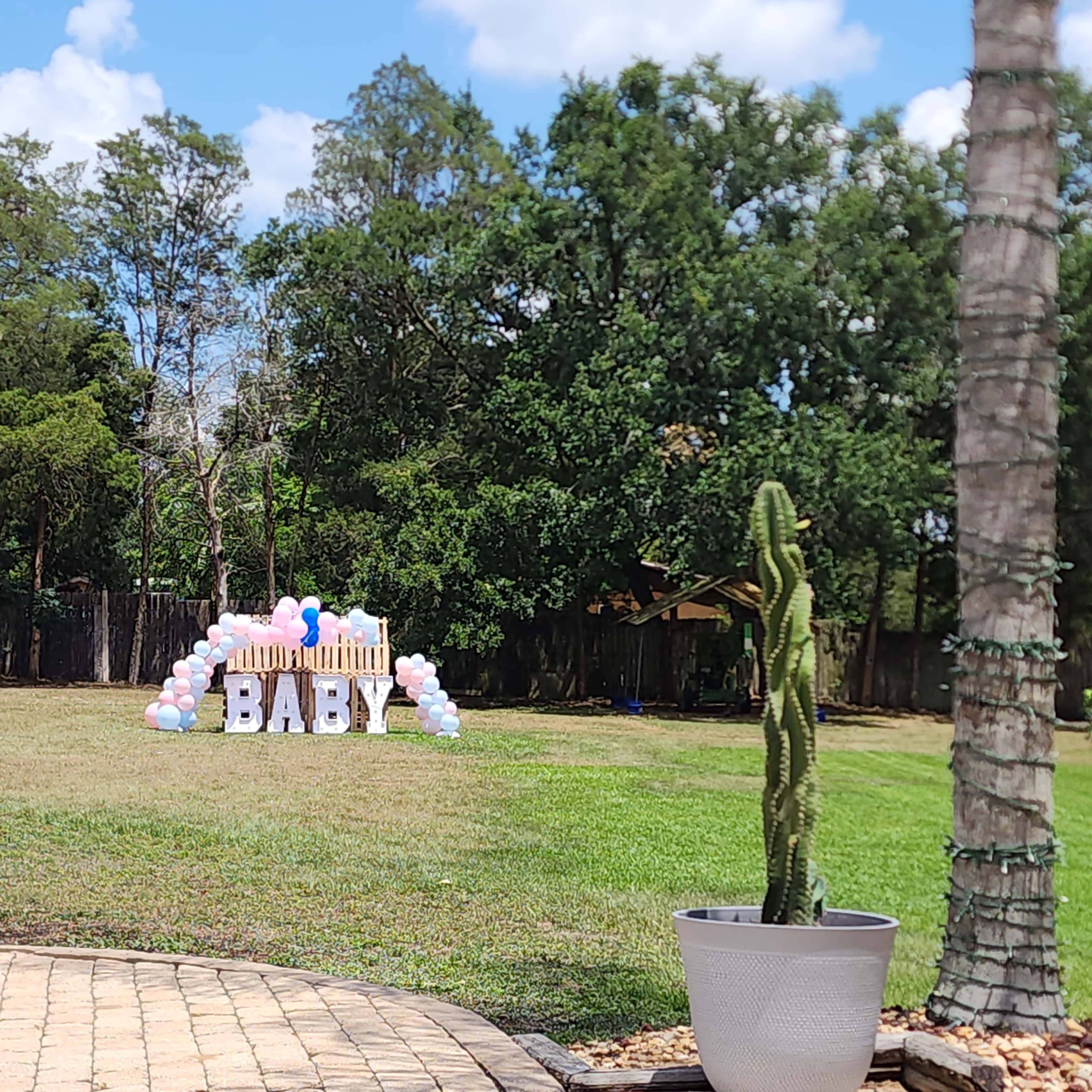 A decorated outdoor area features a large "BABY" sign surrounded by pink and blue balloons in a grassy space.