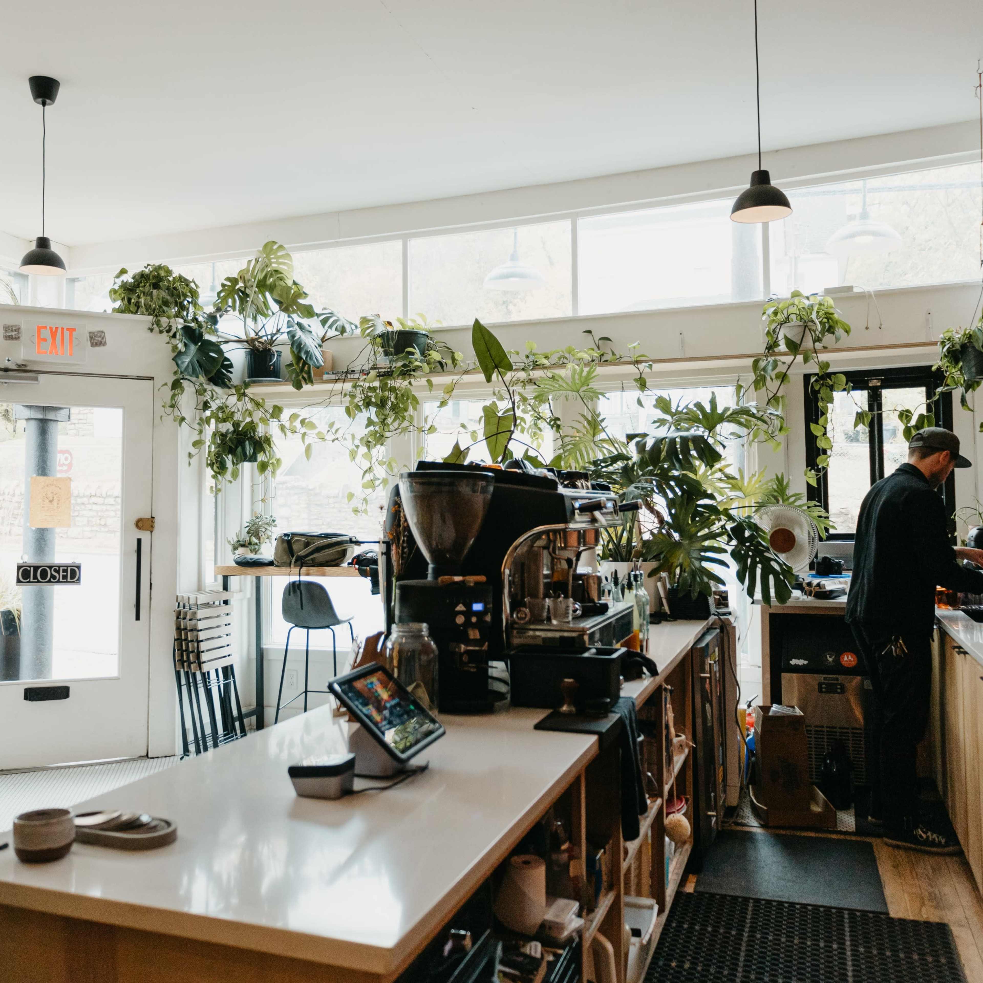Airy and Bright Botanical Cafe Space Image in Kansas City, Kansas City, KS