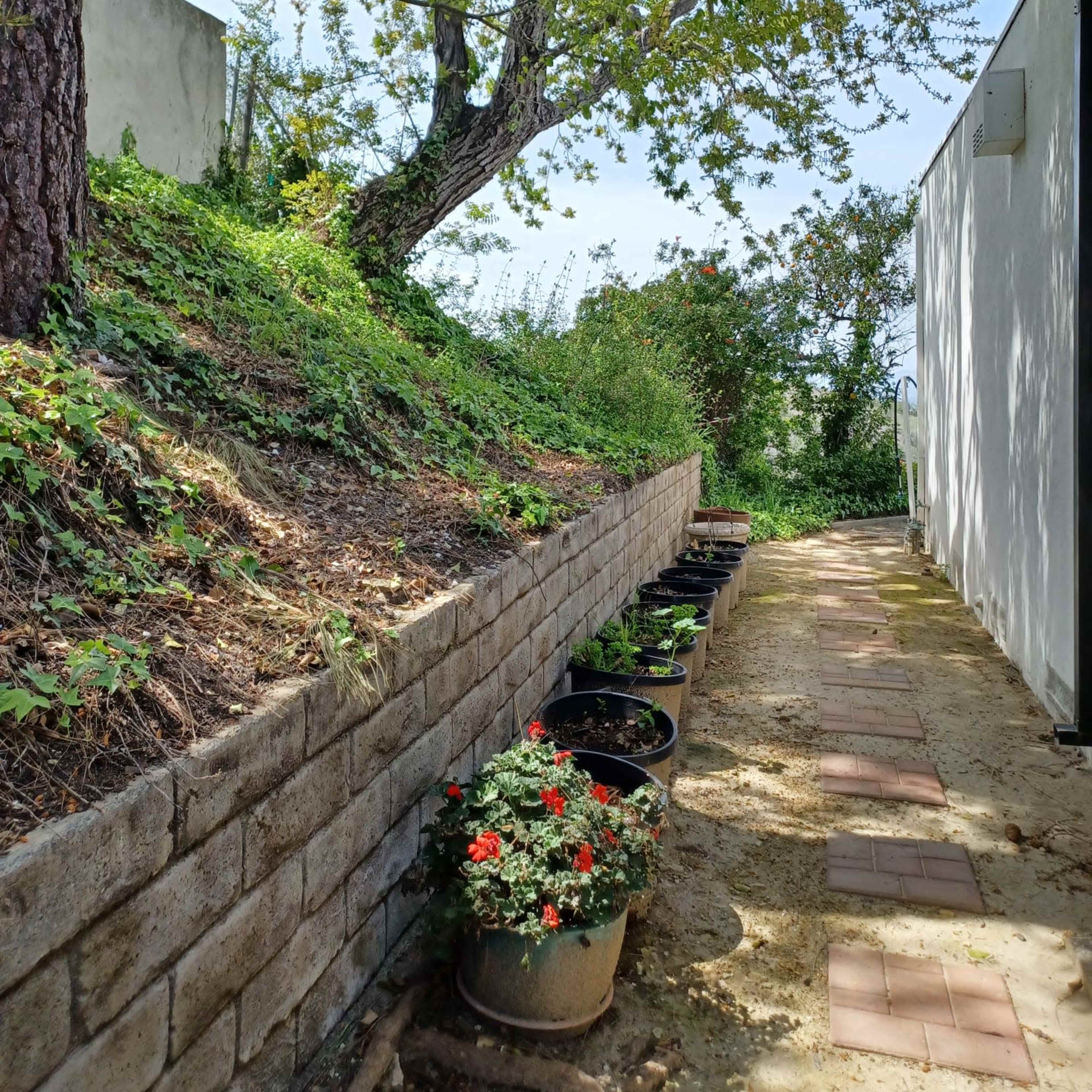 A stone pathway lined with potted flowers runs alongside a grassy hill under a tree.
