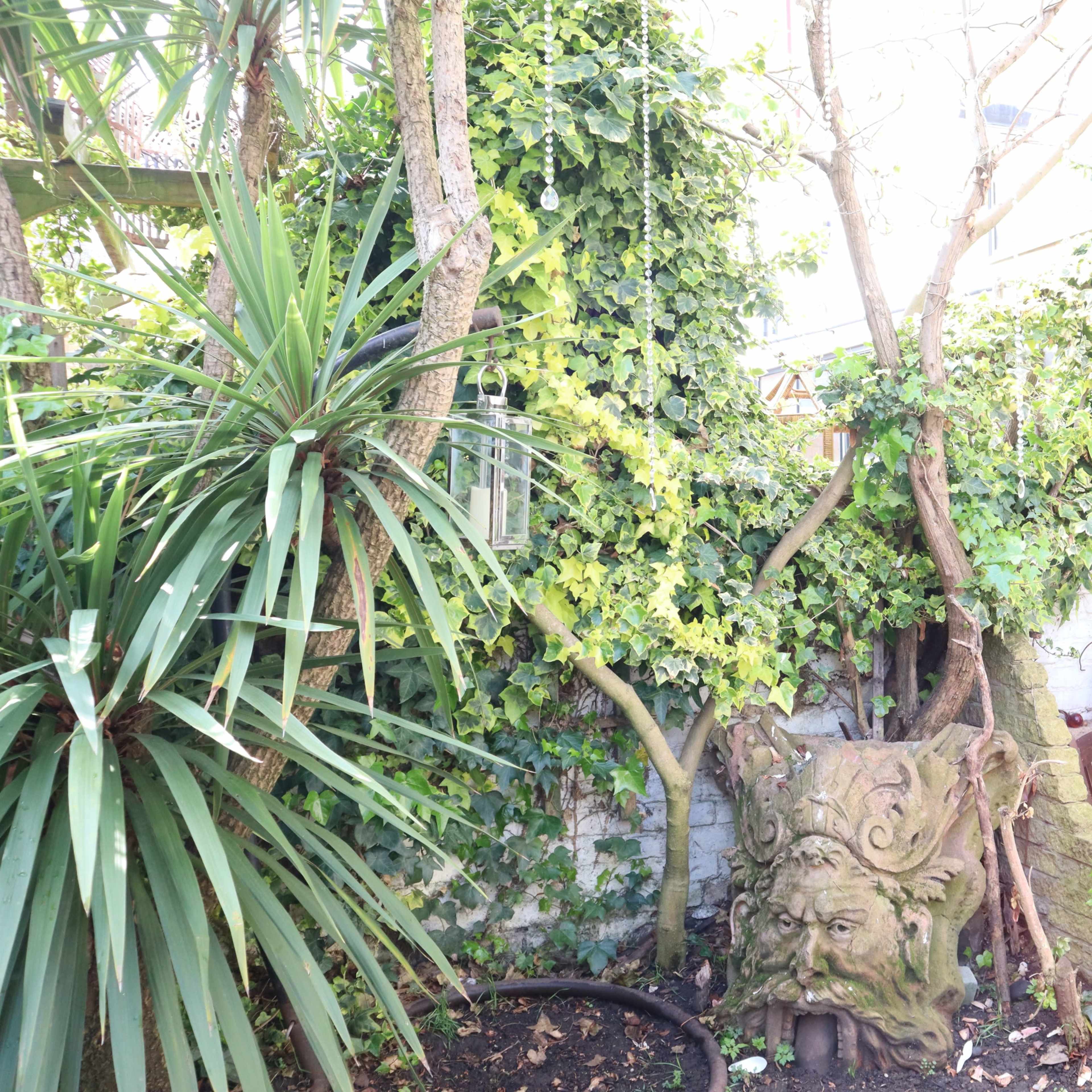 A small courtyard garden with a stone face sculpture surrounded by lush green ivy and potted plants.