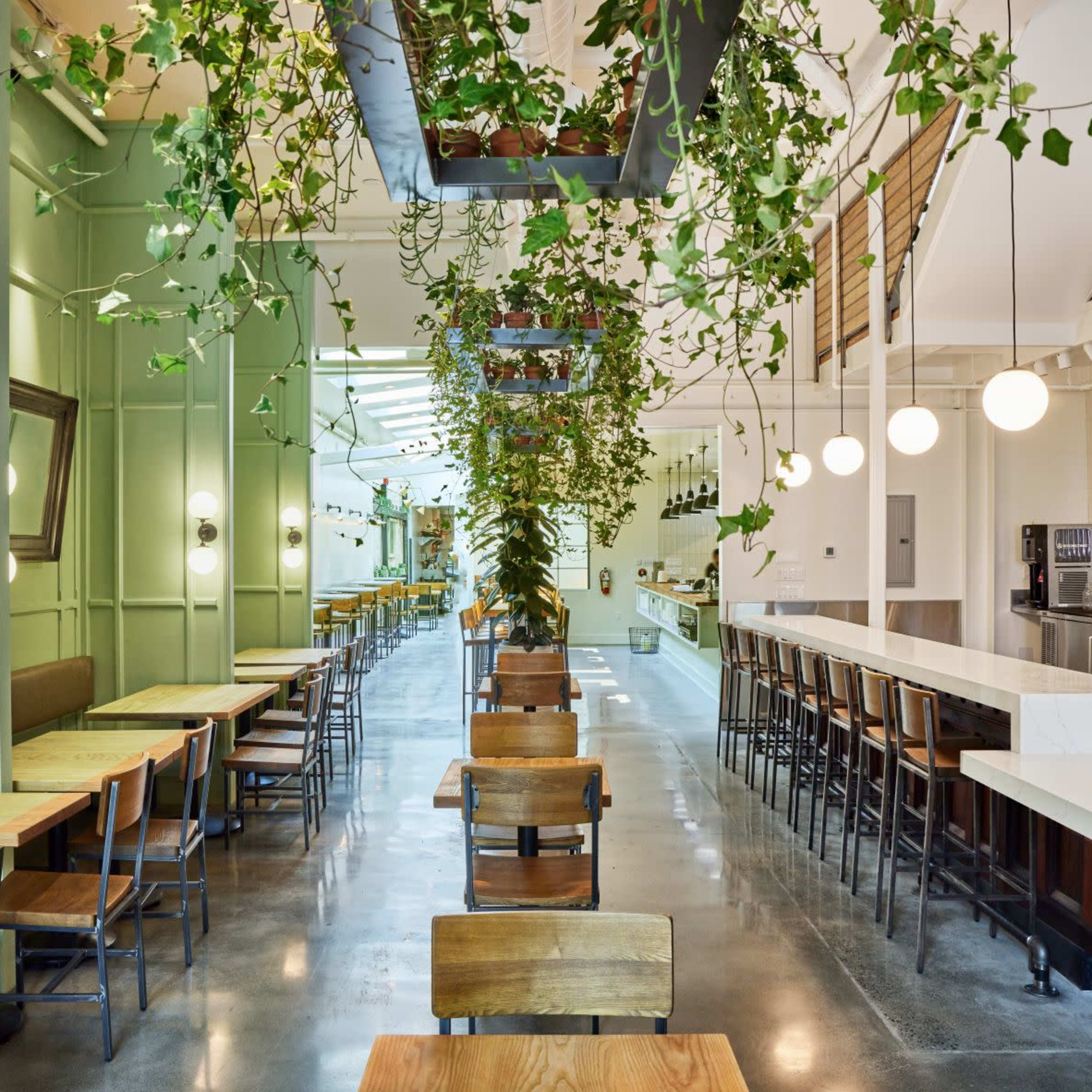A modern café interior featuring wooden tables, chairs, and a long counter, accented by hanging plants and circular pendant lights.