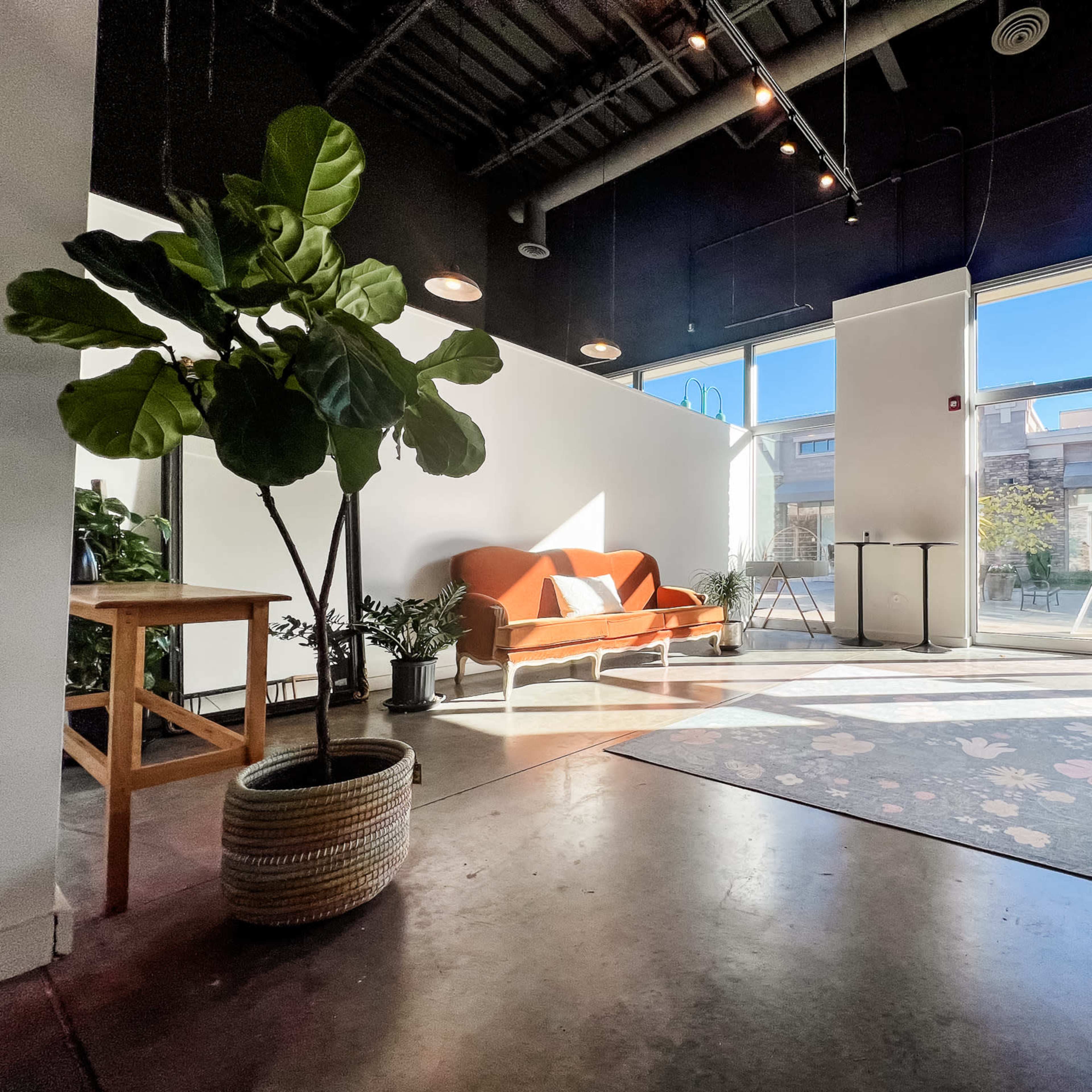 A bright interior space features an orange sofa, a wooden table, and a potted plant with large leaves, illuminated by natural light streaming through large windows.