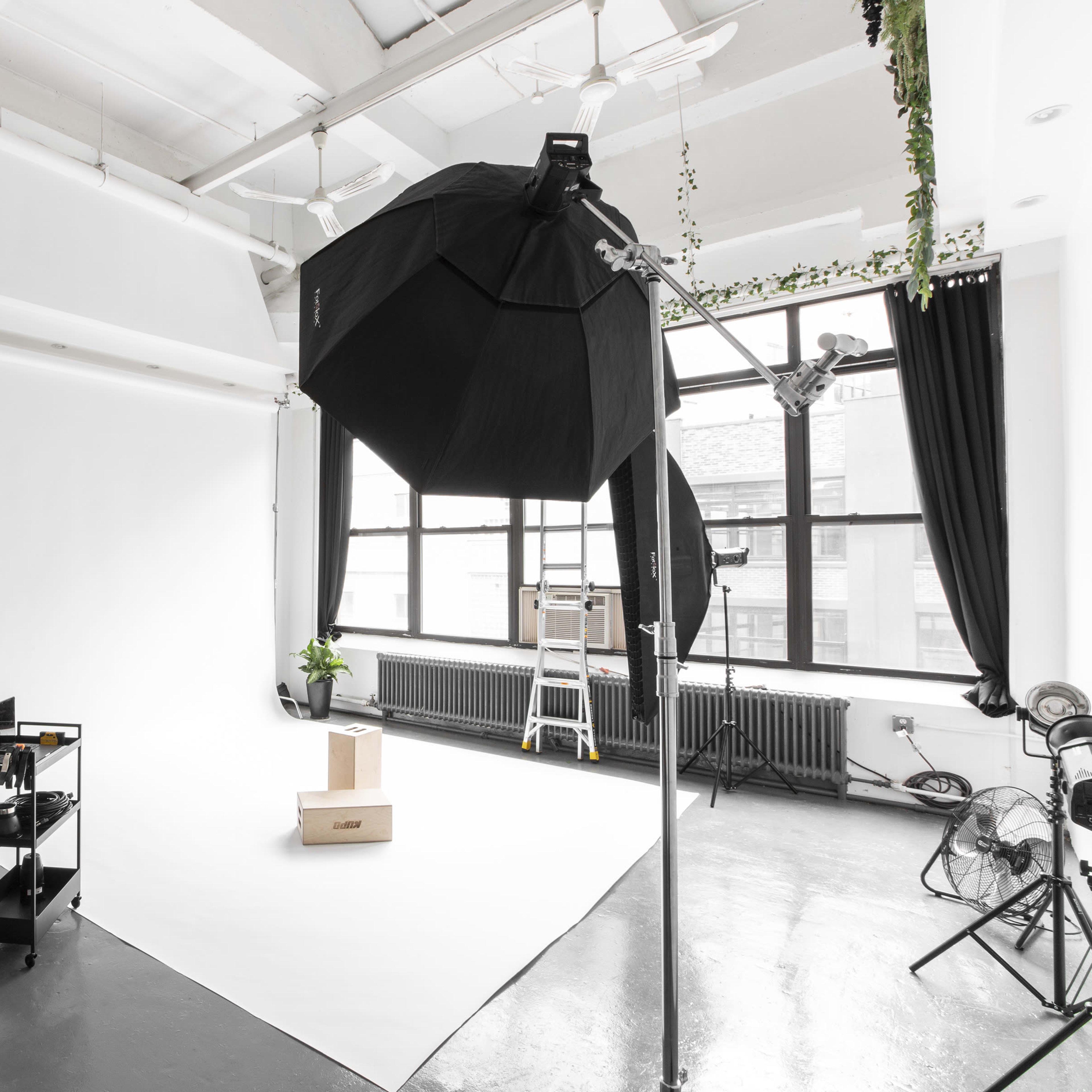 A photography studio featuring a plain white backdrop, a lighting setup with an umbrella, a plant, and a cart with equipment.