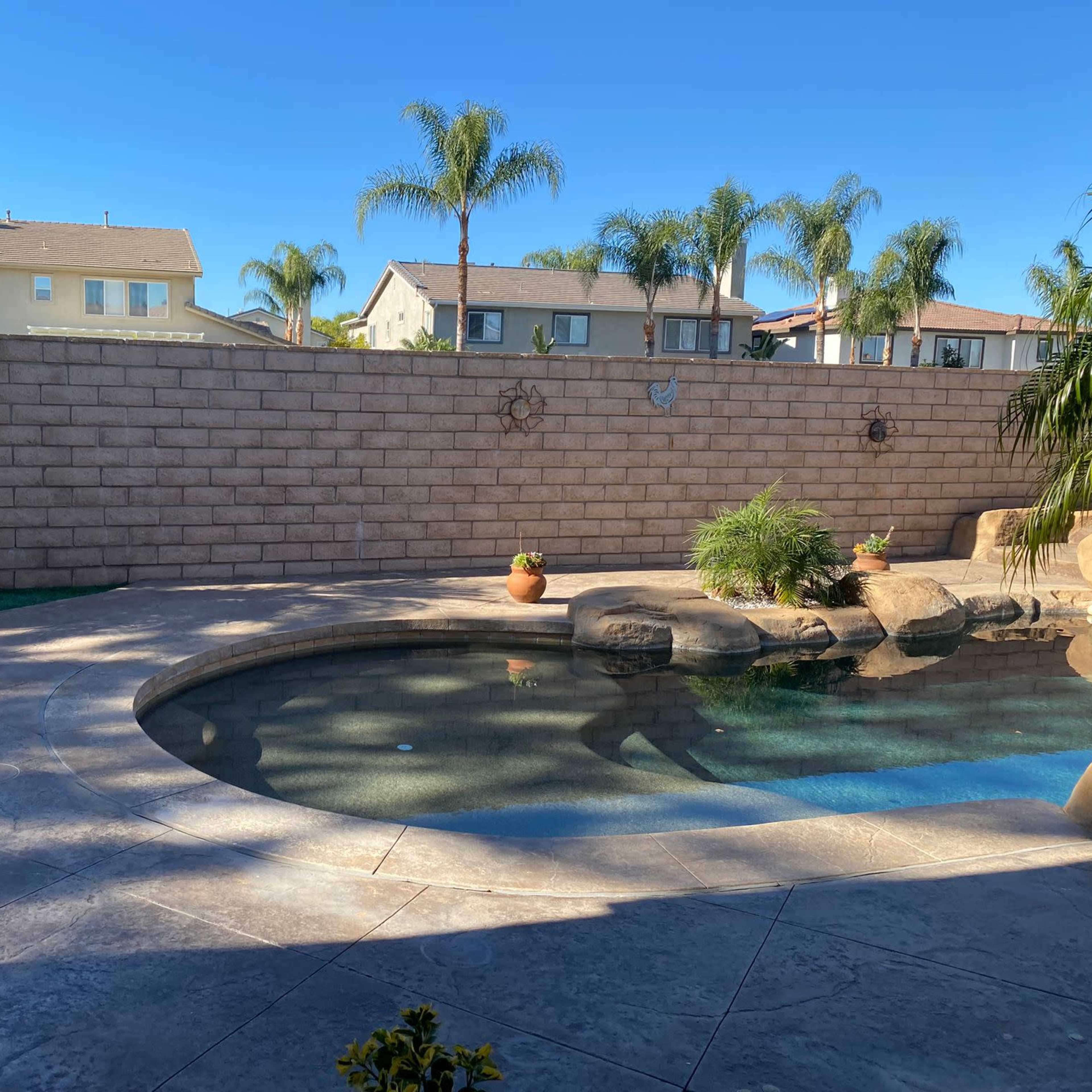 A landscaped backyard with a swimming pool surrounded by palm trees and a stone wall, with houses visible beyond the wall.