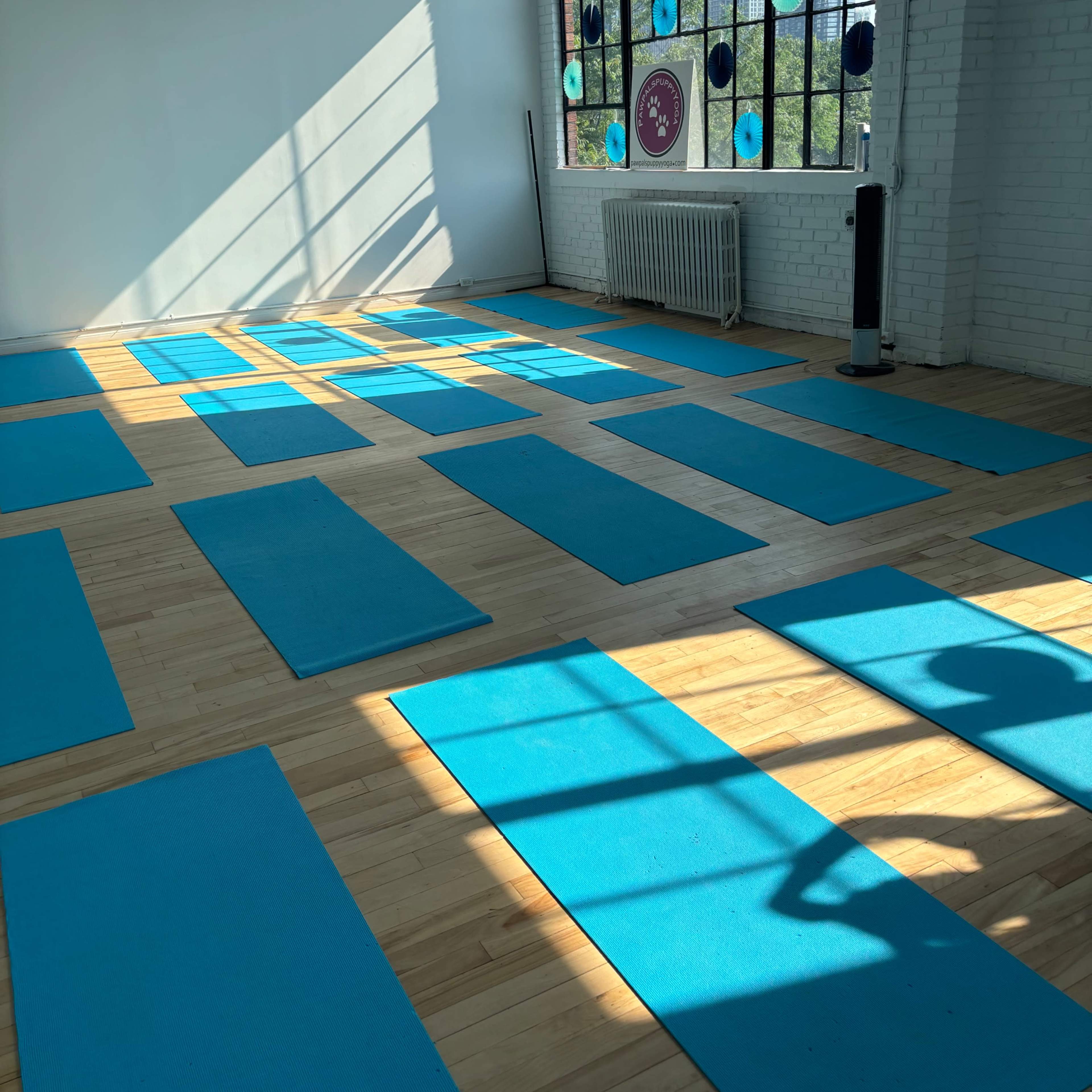 A spacious yoga studio with bright blue mats arranged neatly on a wooden floor, illuminated by sunlight streaming through large windows.