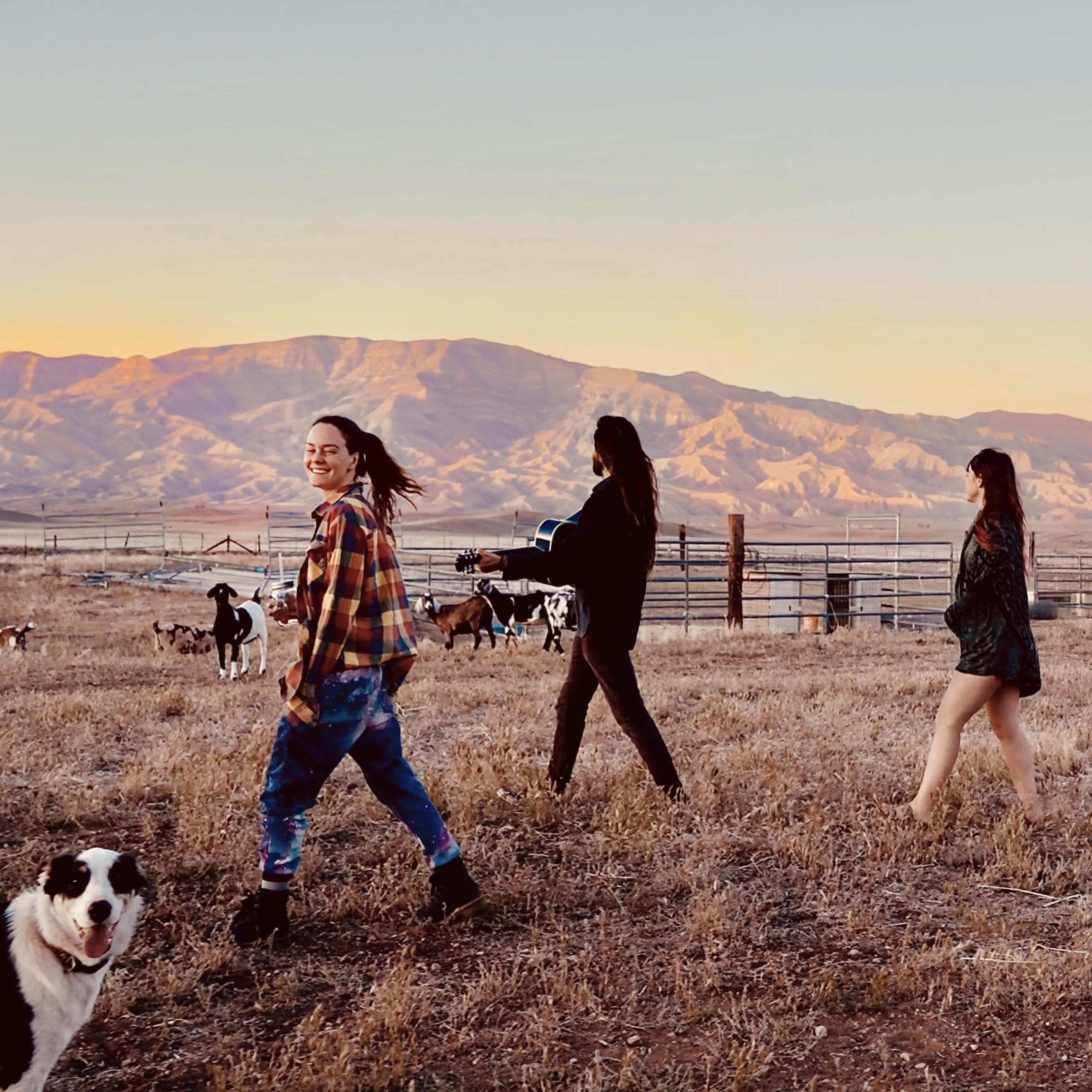 A group of four individuals walks across a grassy field with mountains in the background during sunset, accompanied by dogs.